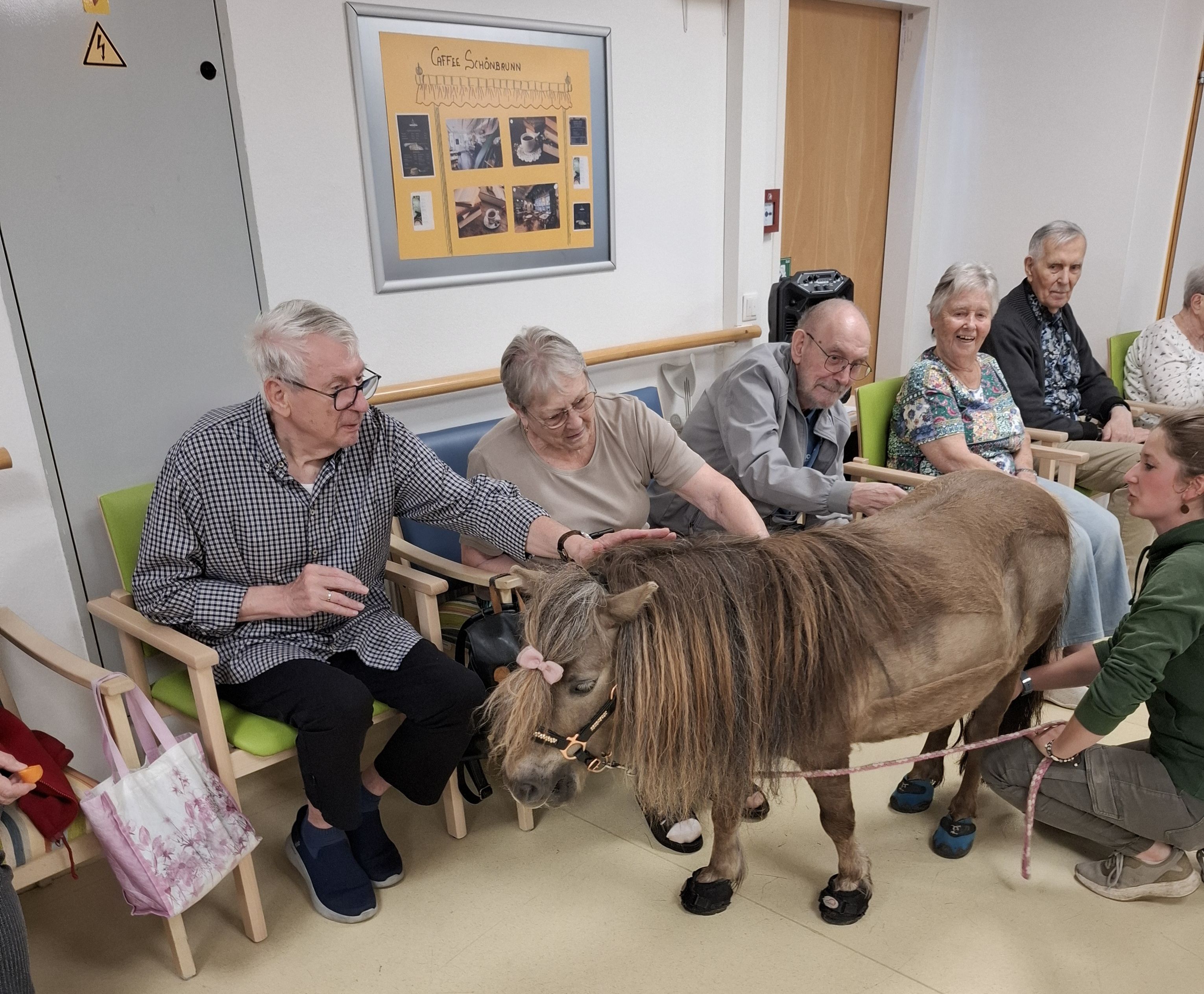 Die Therapieponys waren im Tageszentrum Donaufeld ein Highlight für die Besucher.