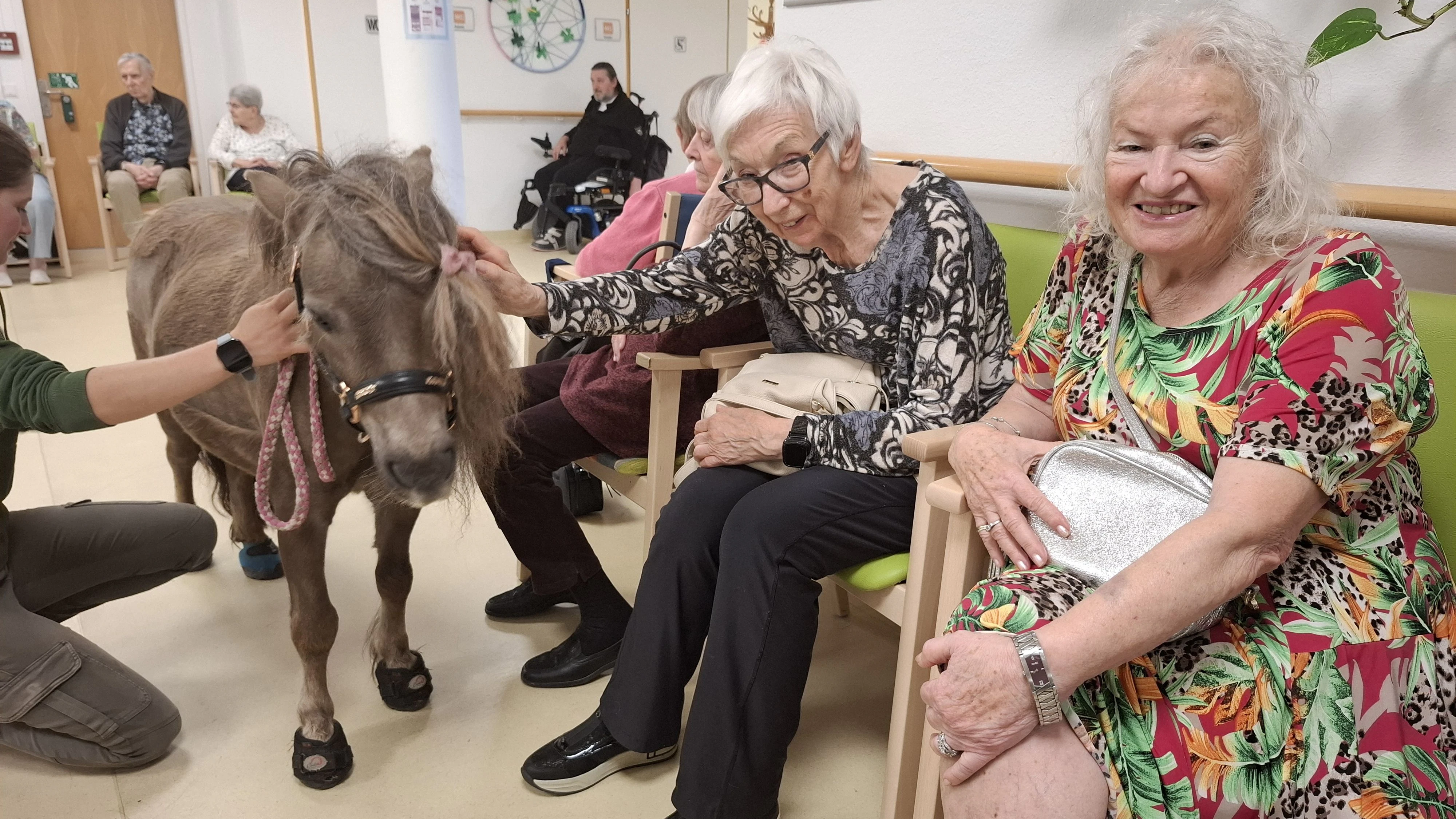 Die Senioren profitieren vom Besuch der Ponys auf vielfältige Weise.