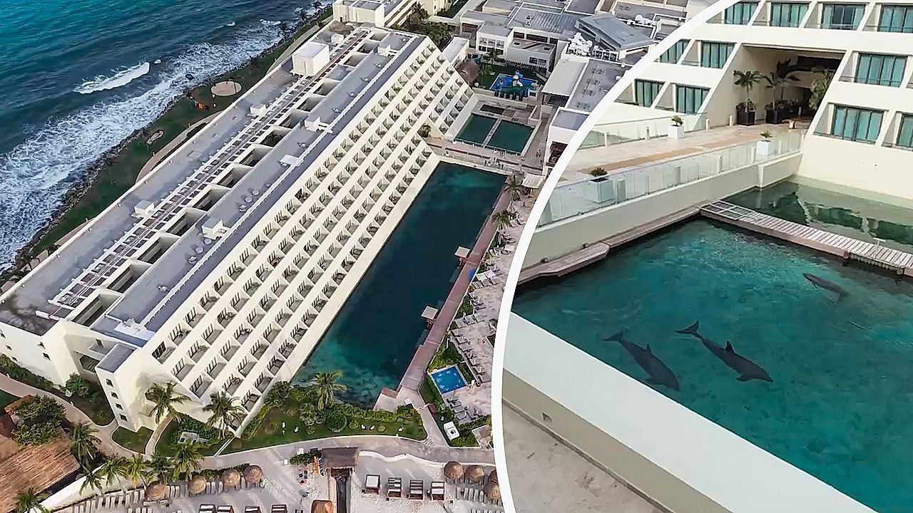Tierschützer erheben schwere Vorwürfe – Drohnenaufnahmen zeigen Delfine in Hotel-Pool.
