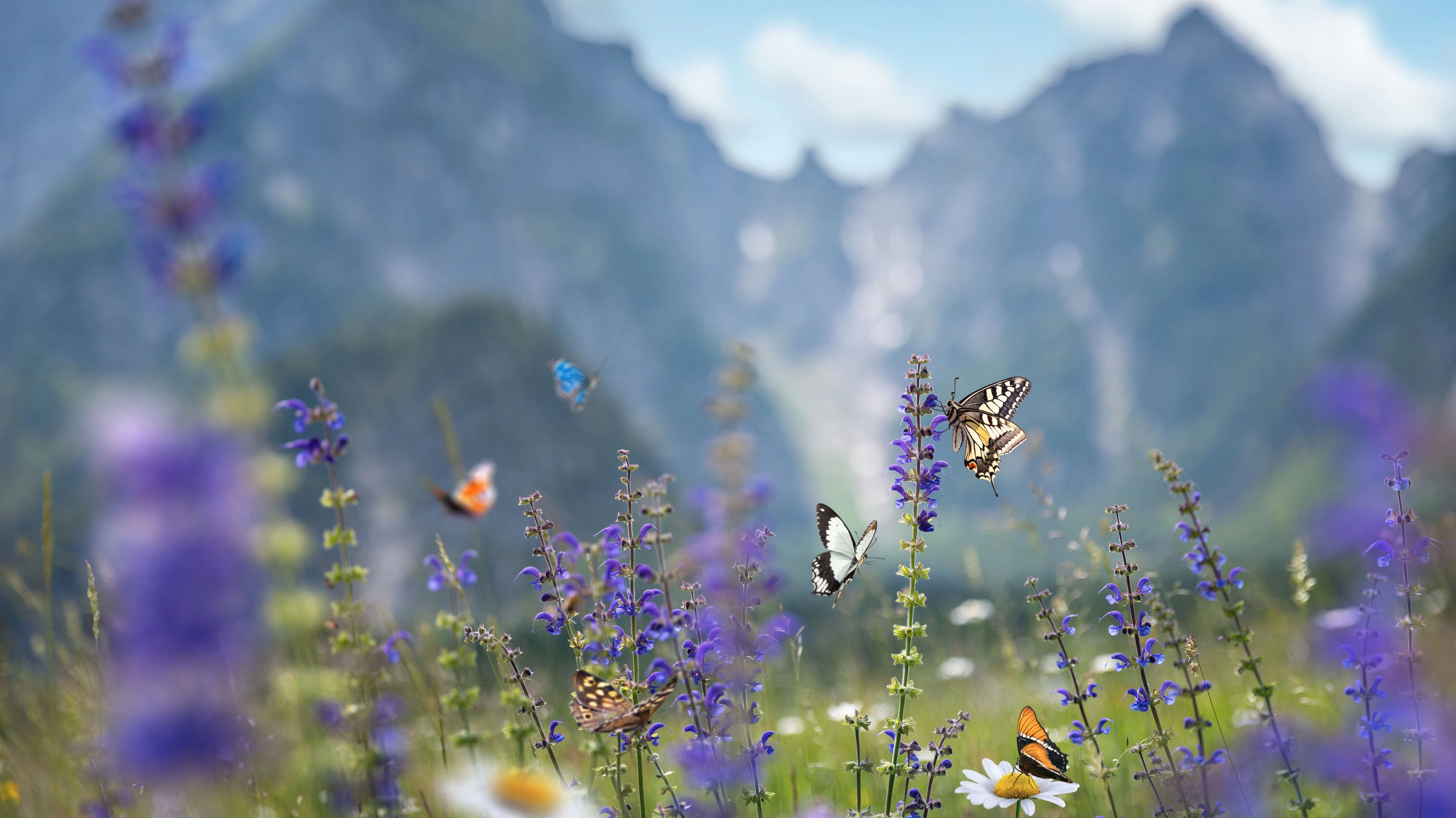 Multiple butterflies resting and flying among purple meadow flowers and white daisies in a vibrant alpine landscape.