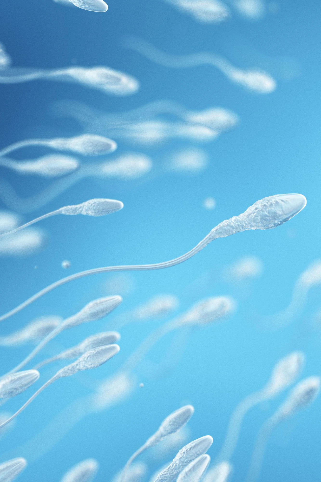 Die DNA von Spermien wird durch Luftverschmutzung nachweisbar verändert, so eine neue Studie