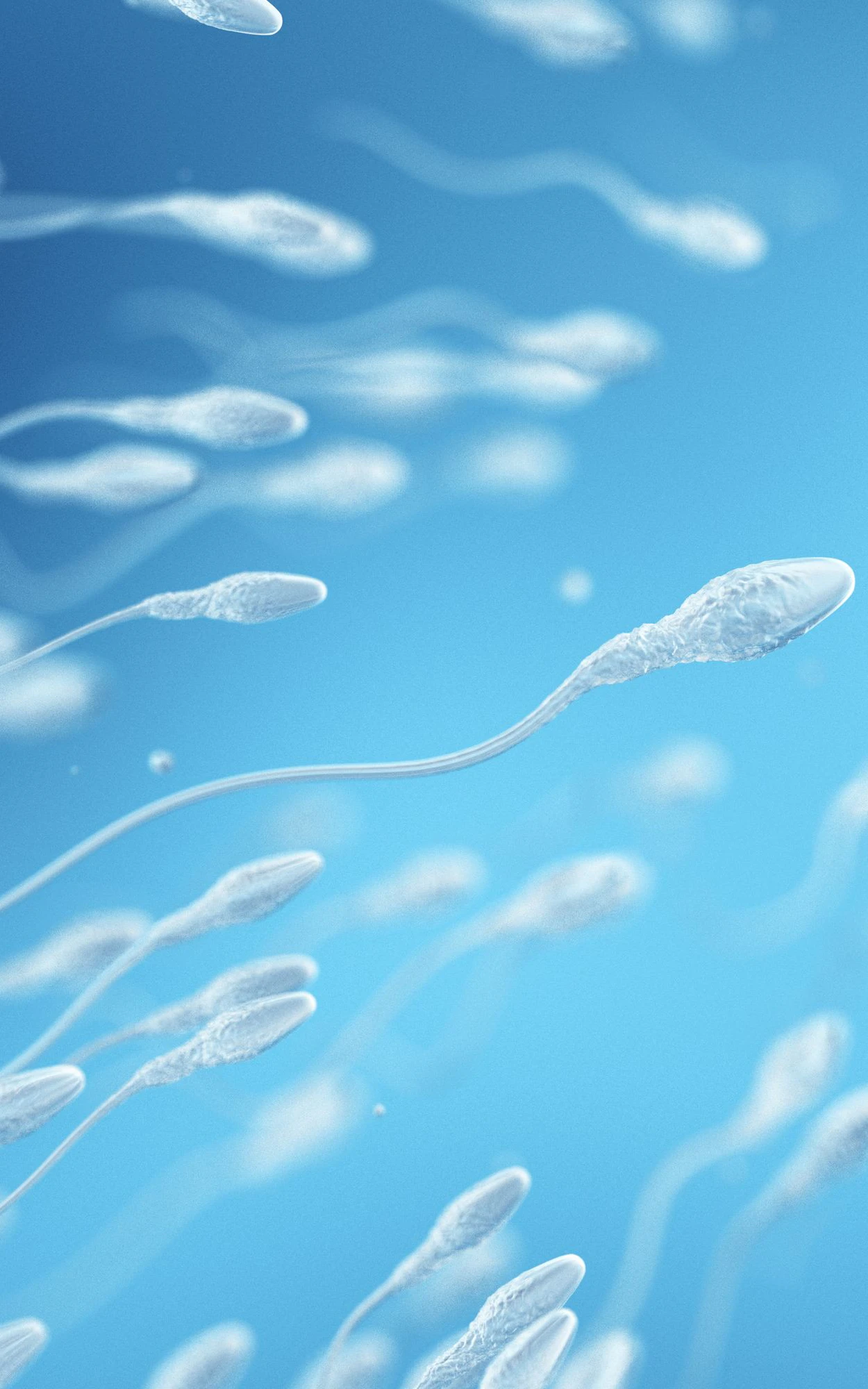 Wie Luftverschmutzung die Qualität unserer Spermien verändert