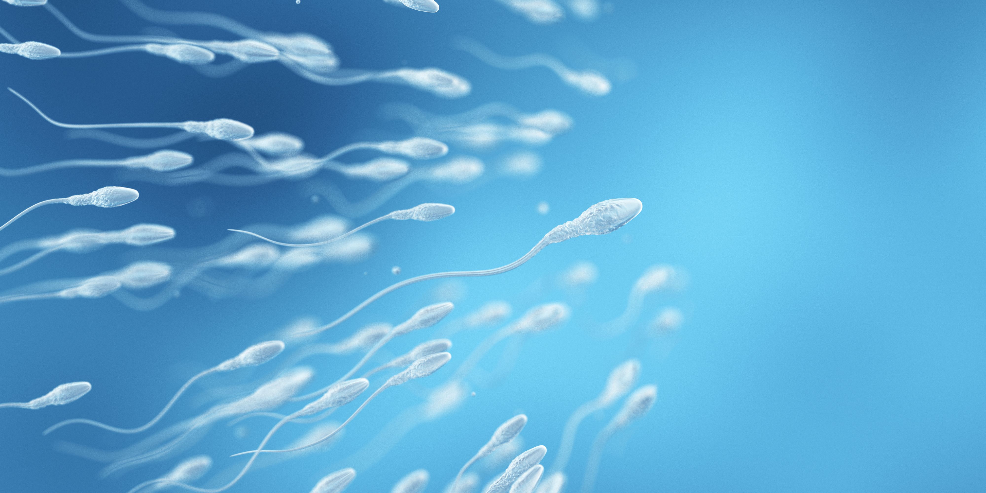 Heute.at - Wie Luftverschmutzung die Spermien-Qualität verändert