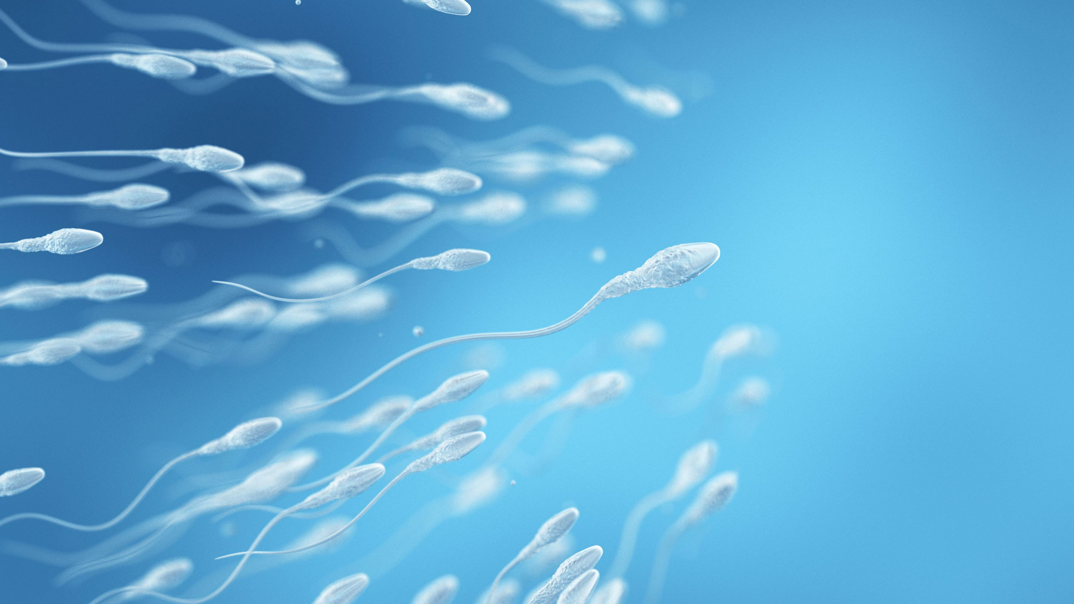 Heute.at - Wie Luftverschmutzung die Spermien-Qualität verändert