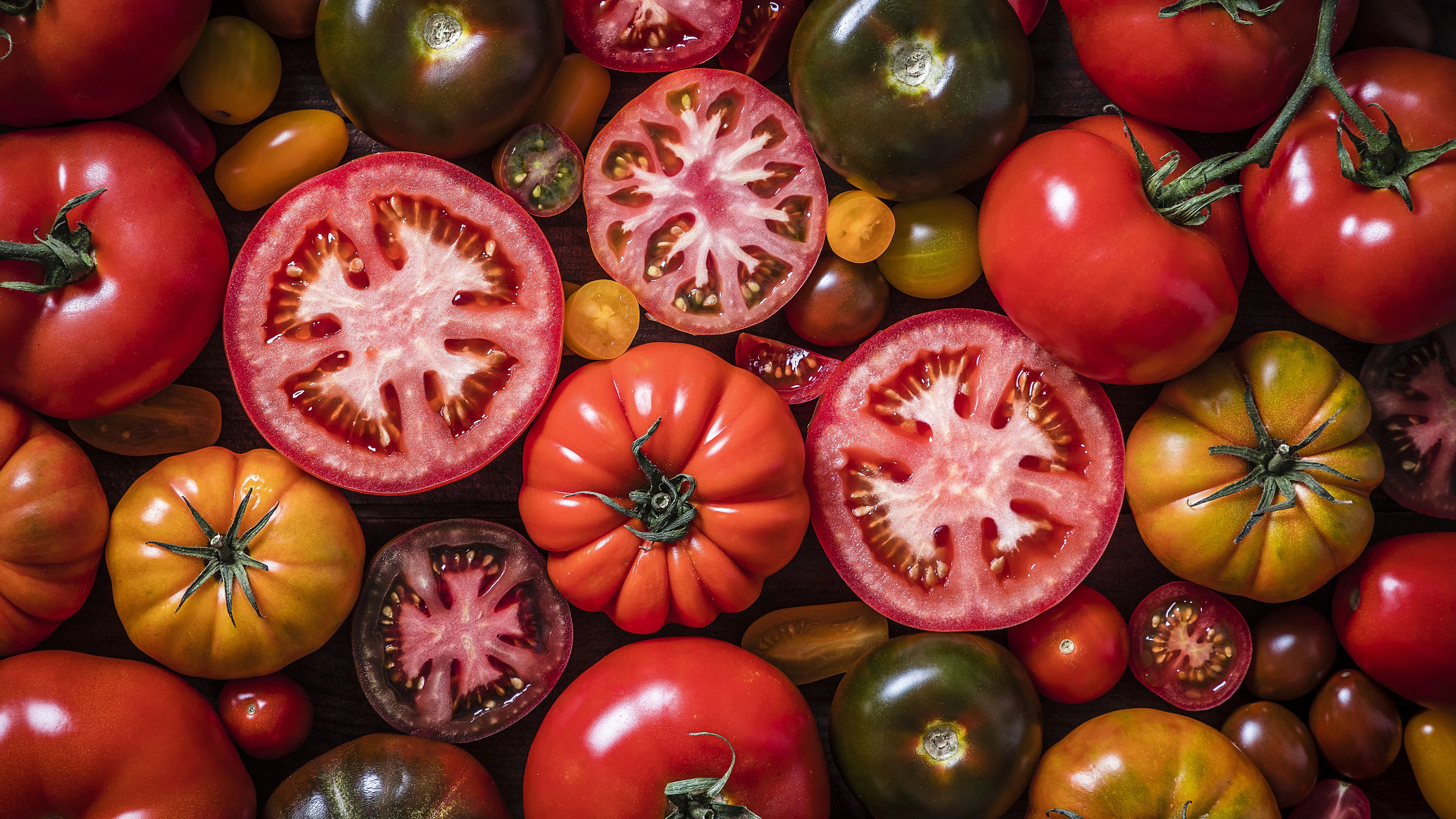 Top view of a background made with various kinds of tomatoes mixed by varieties, sizes and colors. Predominant colors are red, orange and yellow. Studio shot taken with Canon EOS 6D Mark II and Canon EF 24-105 mm f/4L