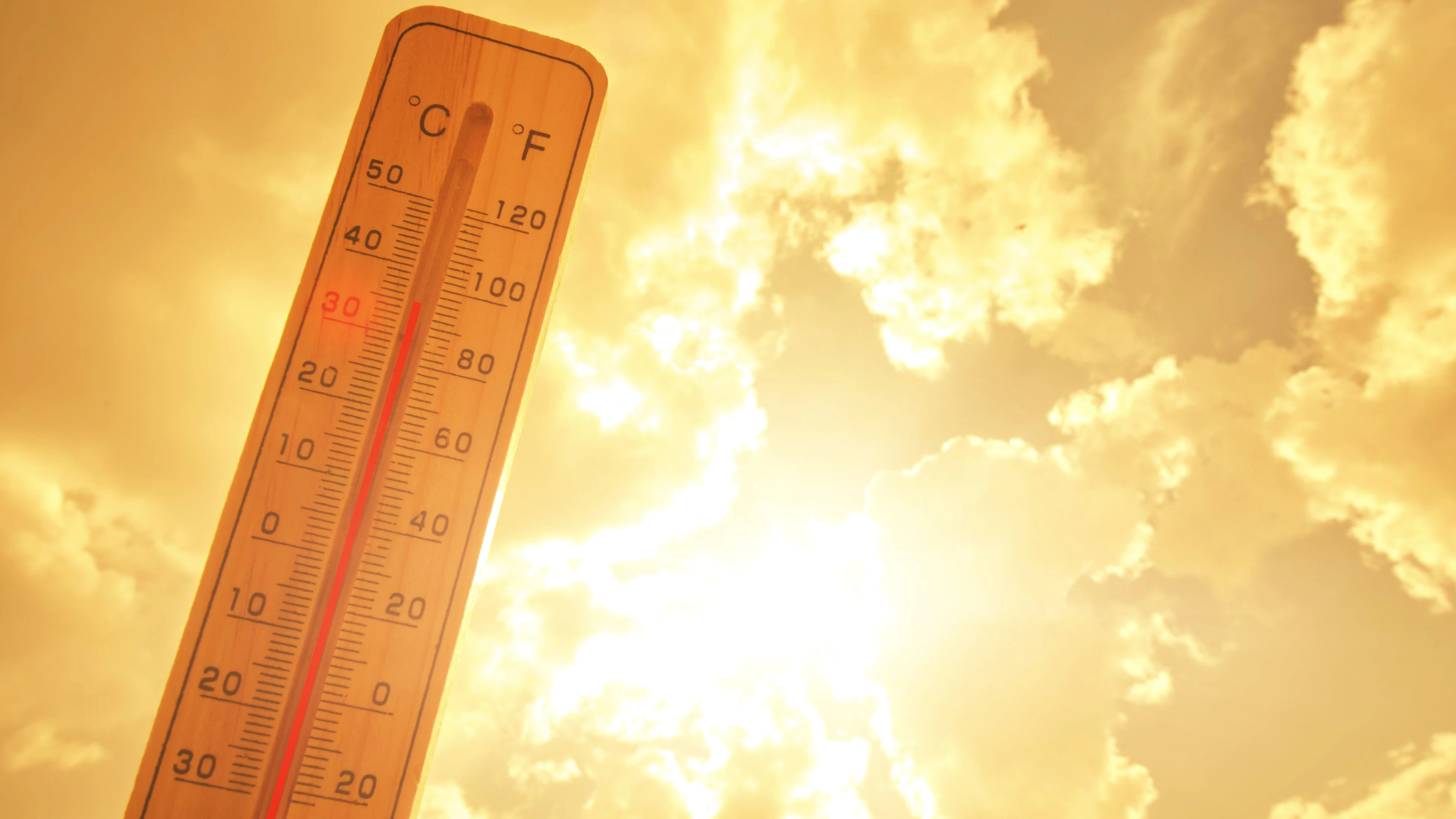 Die Temperaturen werden die 30-Grad-Marke wieder locker überspringen. 