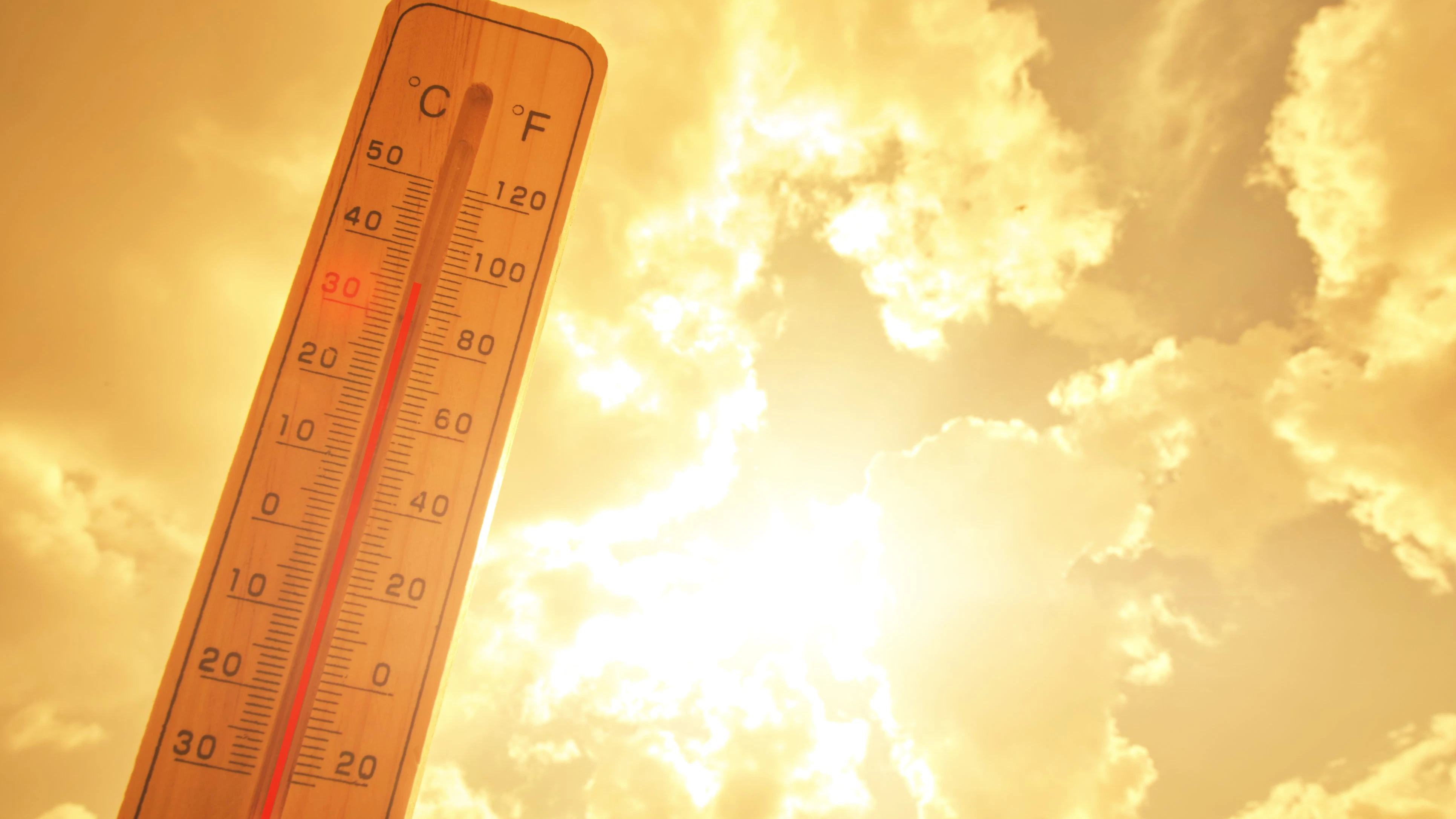 Die Temperaturen werden die 30-Grad-Marke wieder locker überspringen. 