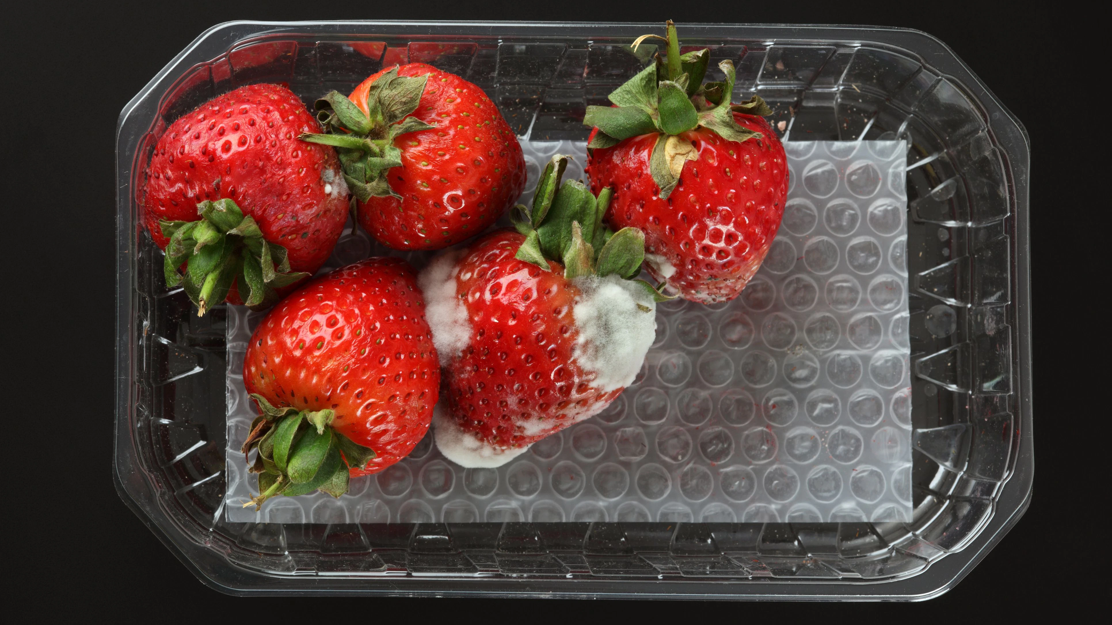 Wer Erdbeeren richtig lagert, spart Geld und Lebensmittel.