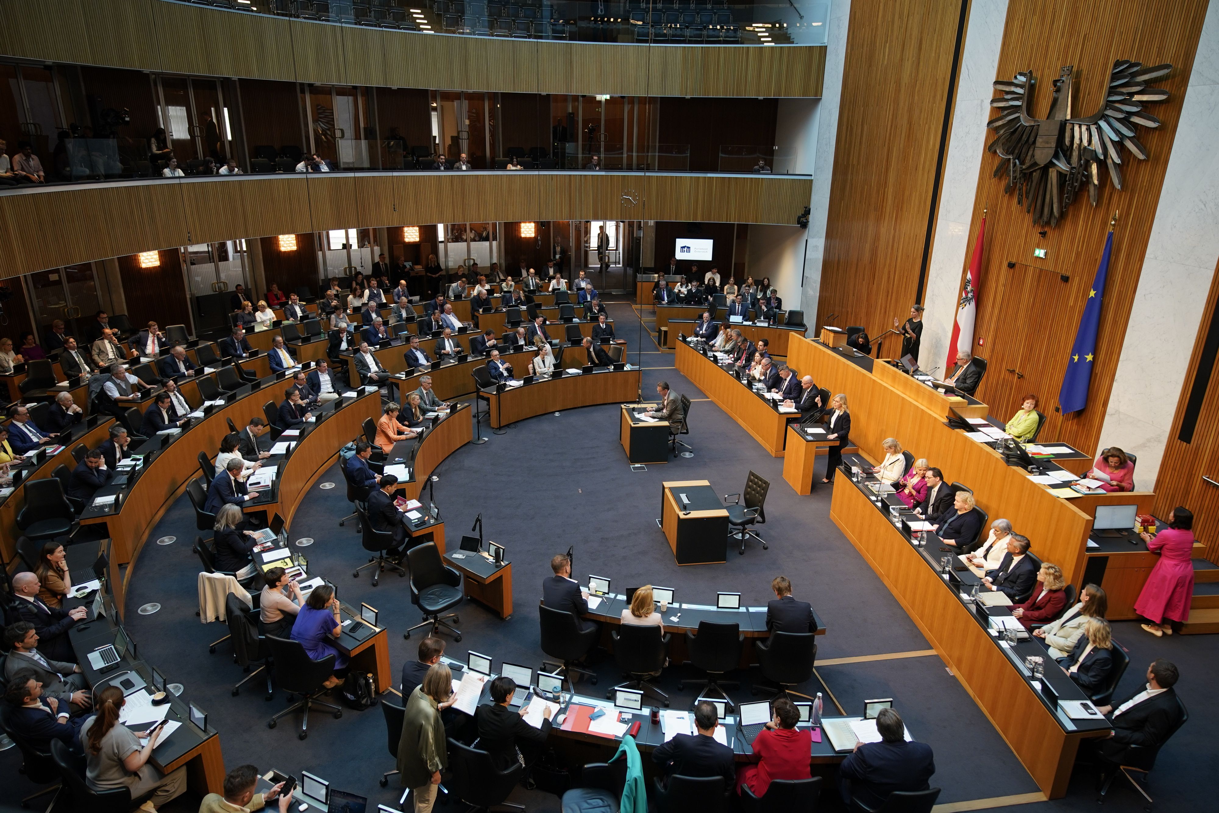 Heute.at - Neos-Mann will GEGEN eigene Koalition stimmen
