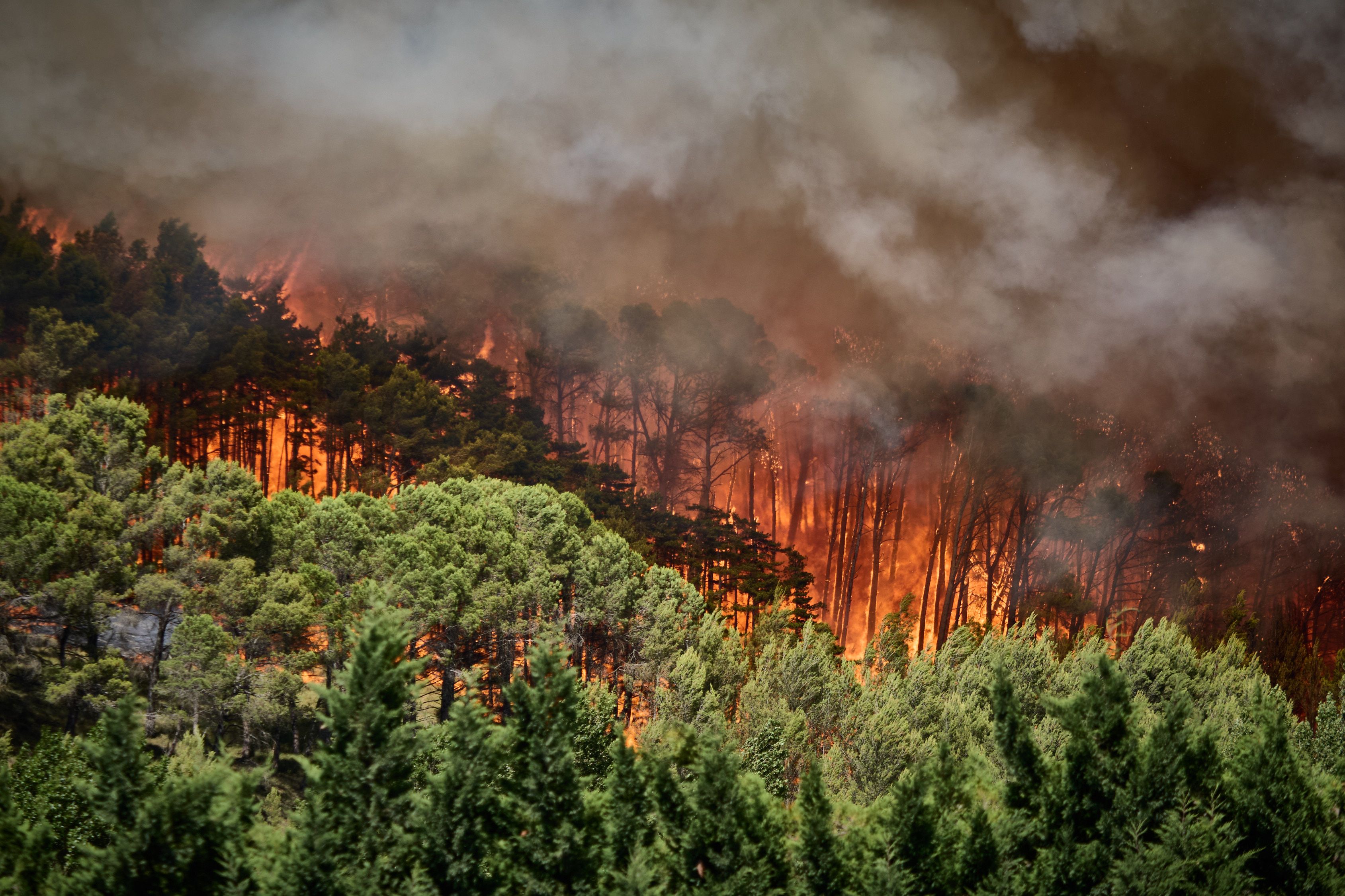 5. Juli 2026: Blick auf den Waldbrand im Elorz-Tal in der Nähe von Imarcoain. Ein Brand auf einem Getreidefeld hat auf ein Waldgebiet übergegriffen.