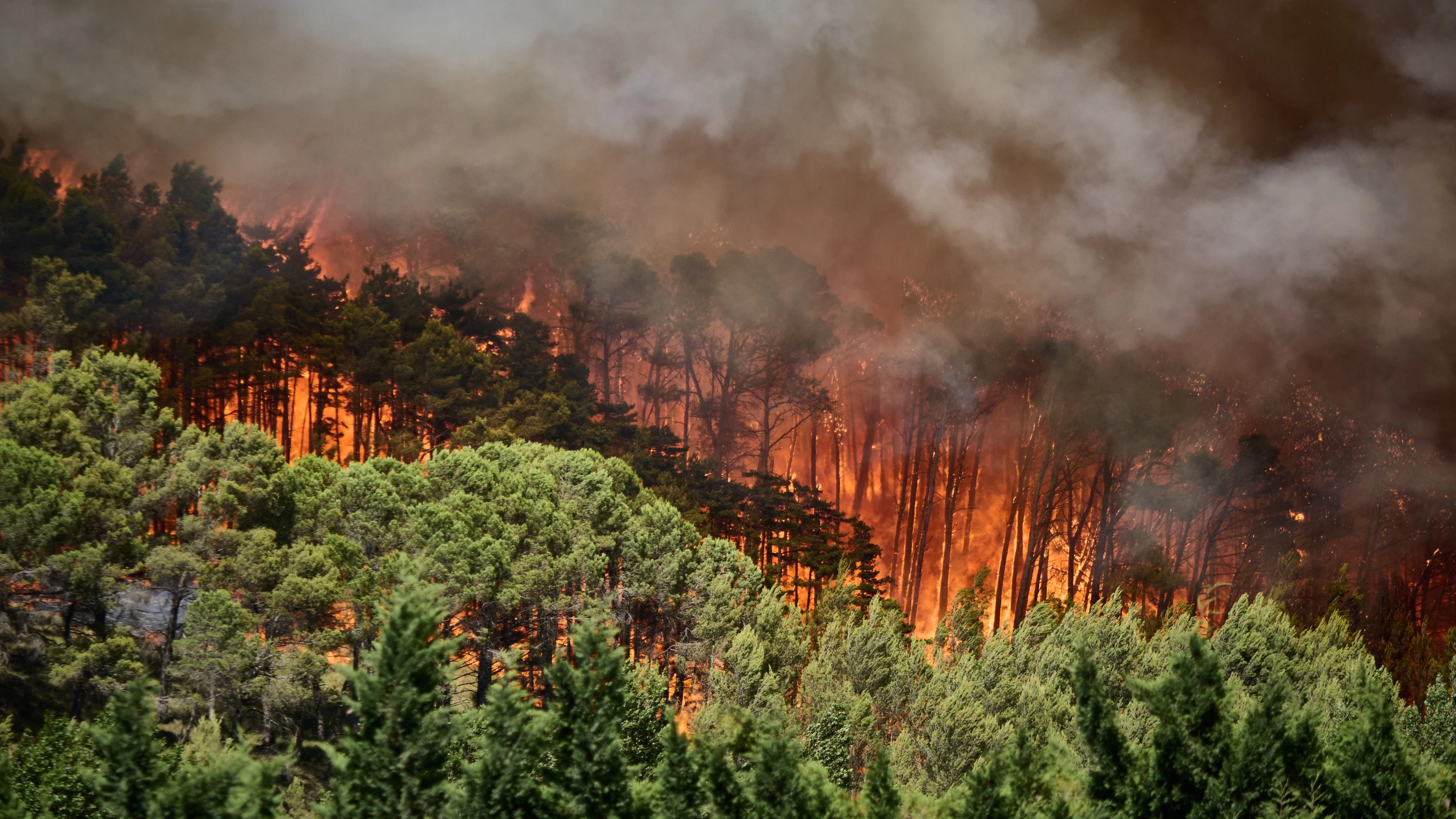 5. Juli 2026: Blick auf den Waldbrand im Elorz-Tal in der Nähe von Imarcoain. Ein Brand auf einem Getreidefeld hat auf ein Waldgebiet übergegriffen.