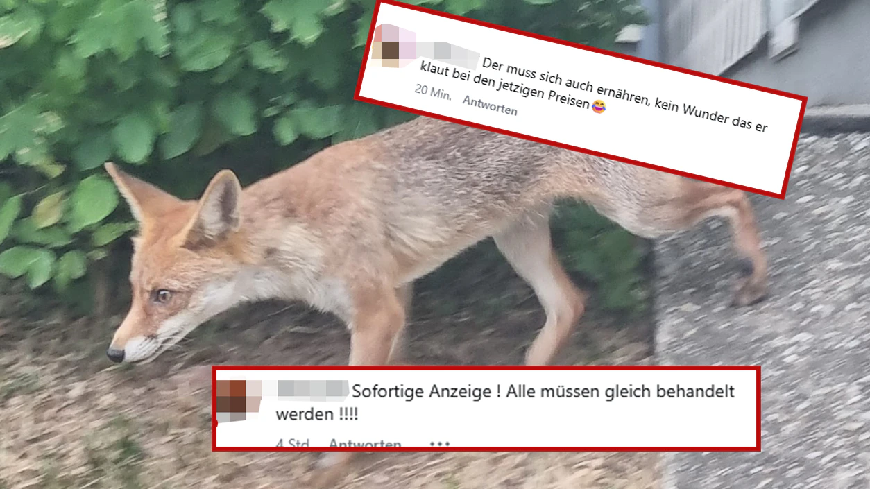 Der Fuchs rief nicht nur die Polizei an den Tag, sondern sorgte auch für Lacher.