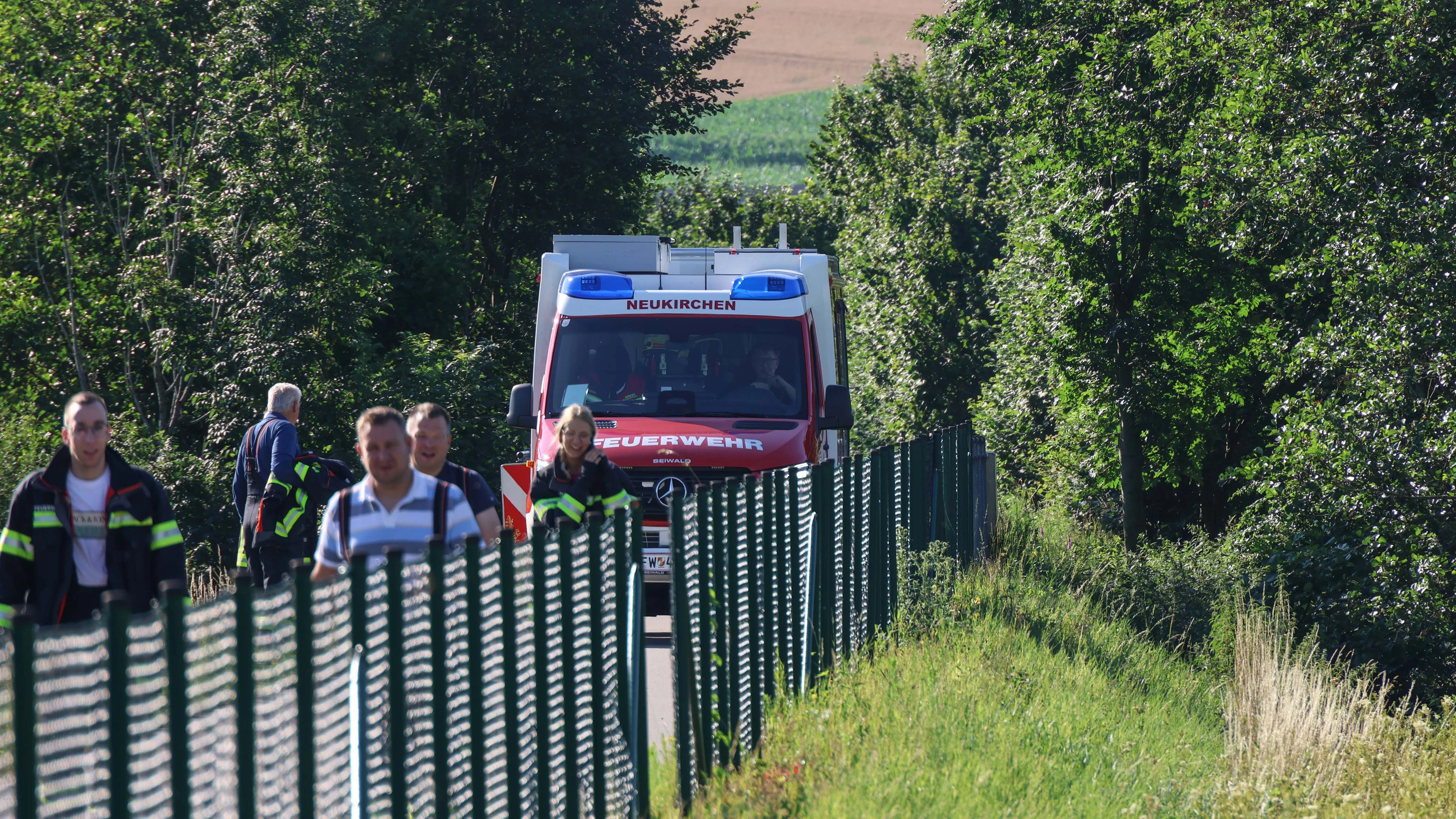 Heute.at - Entlaufener Schafbock hält Einsatzkräfte auf Trab