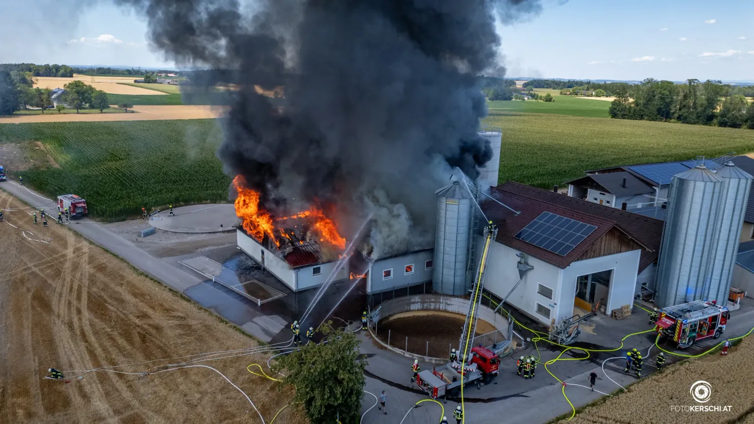 Hunderte Tiere kamen bei dem Brand ums Leben.