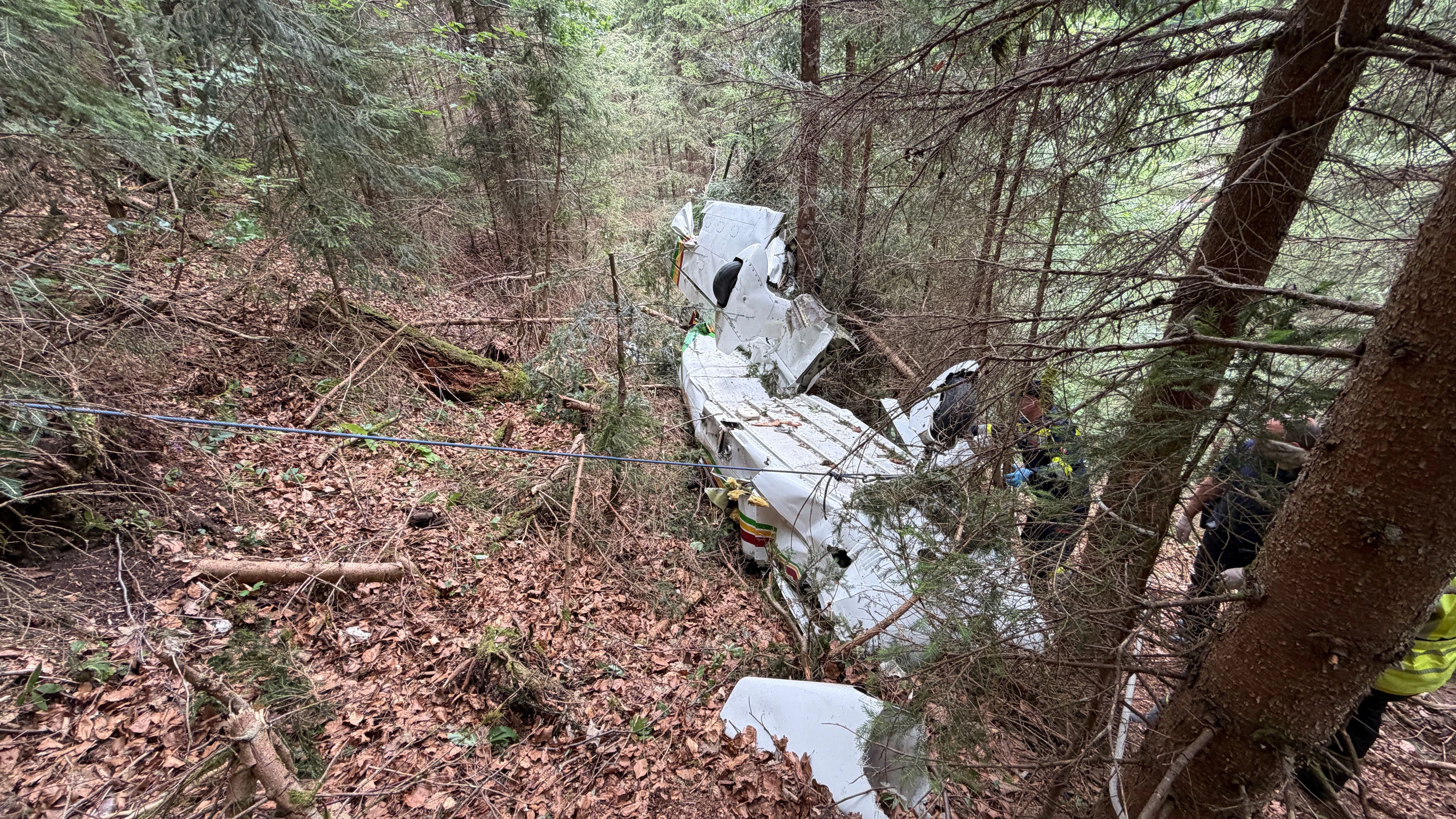 Heute.at - Pilot und Frau tot, Mädchen bei Absturz schwer verletzt