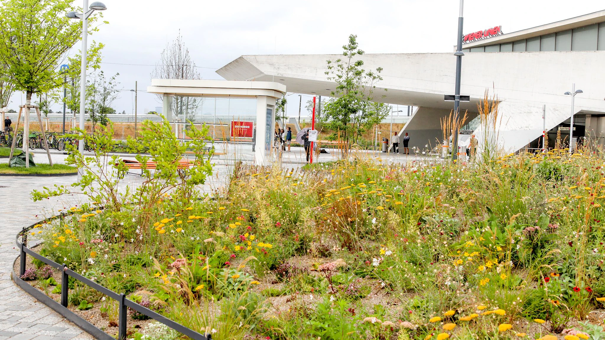 Viel Grün am neugestalteten Vorplatz der Station Aspern Nord. 