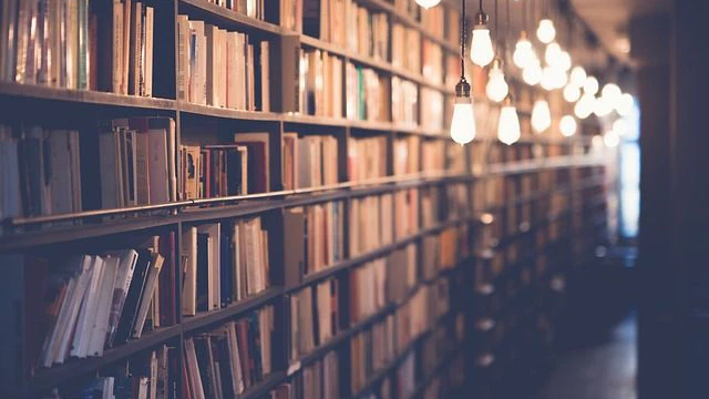 Bücher in Bücherregalen