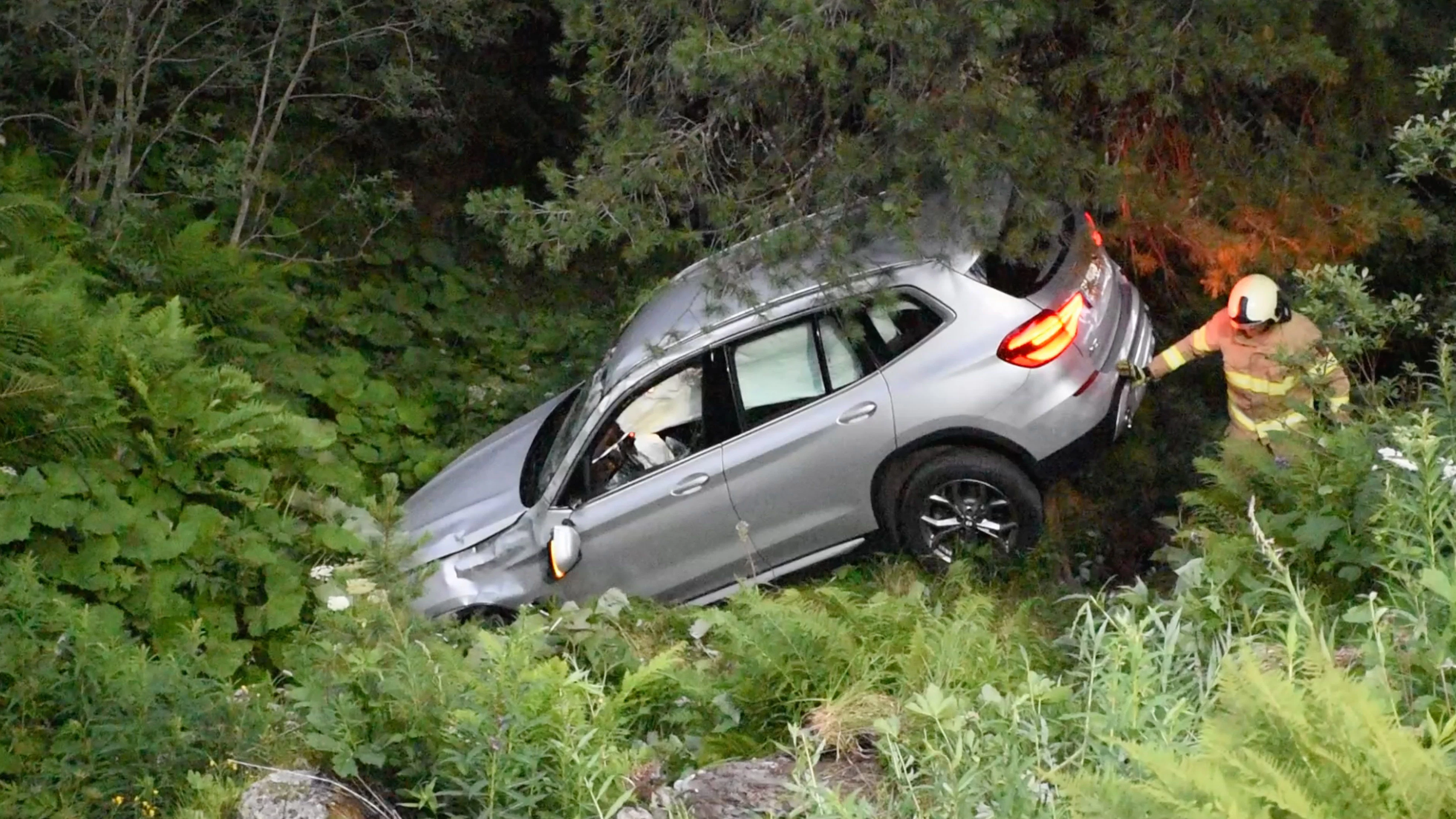 Heute.at - Hund bellt in Kurve – BMW-Lenker baut schweren Crash