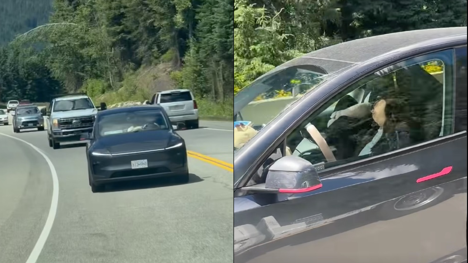 Ein video einer schlafenden Tesla-Fahrerin, angeblich mit Kindern auf der Rückbank, ging im Internet viral