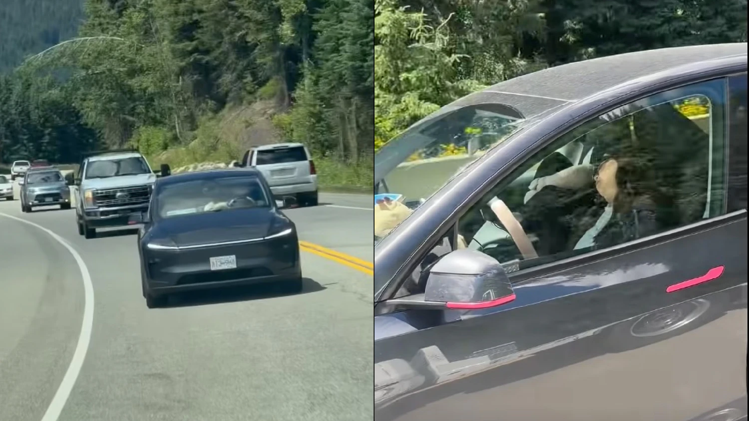 Heute.at - Schock-Video zeigt Tesla-Lenkerin schlafend am Steuer