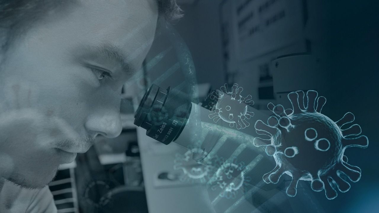 Mikrobiologische Untersuchung im Labor