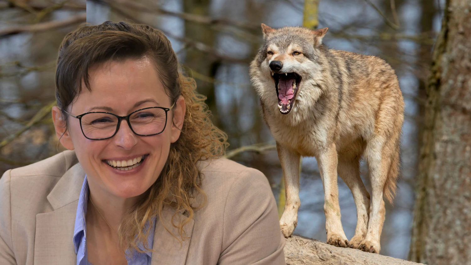 Hanka Mittelstädt, Wolf