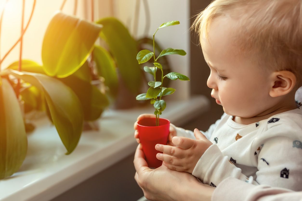 Heute.at - Giftpflanzen: Kleinkinder kosten öfter, als man denkt