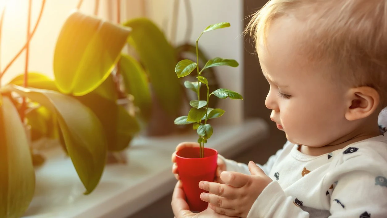 Heute.at - Giftpflanzen: Kleinkinder kosten öfter, als man denkt