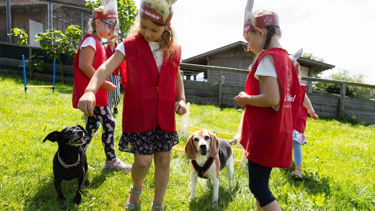 Auch die Hunde des Guts freuen sich auf die Kinder.