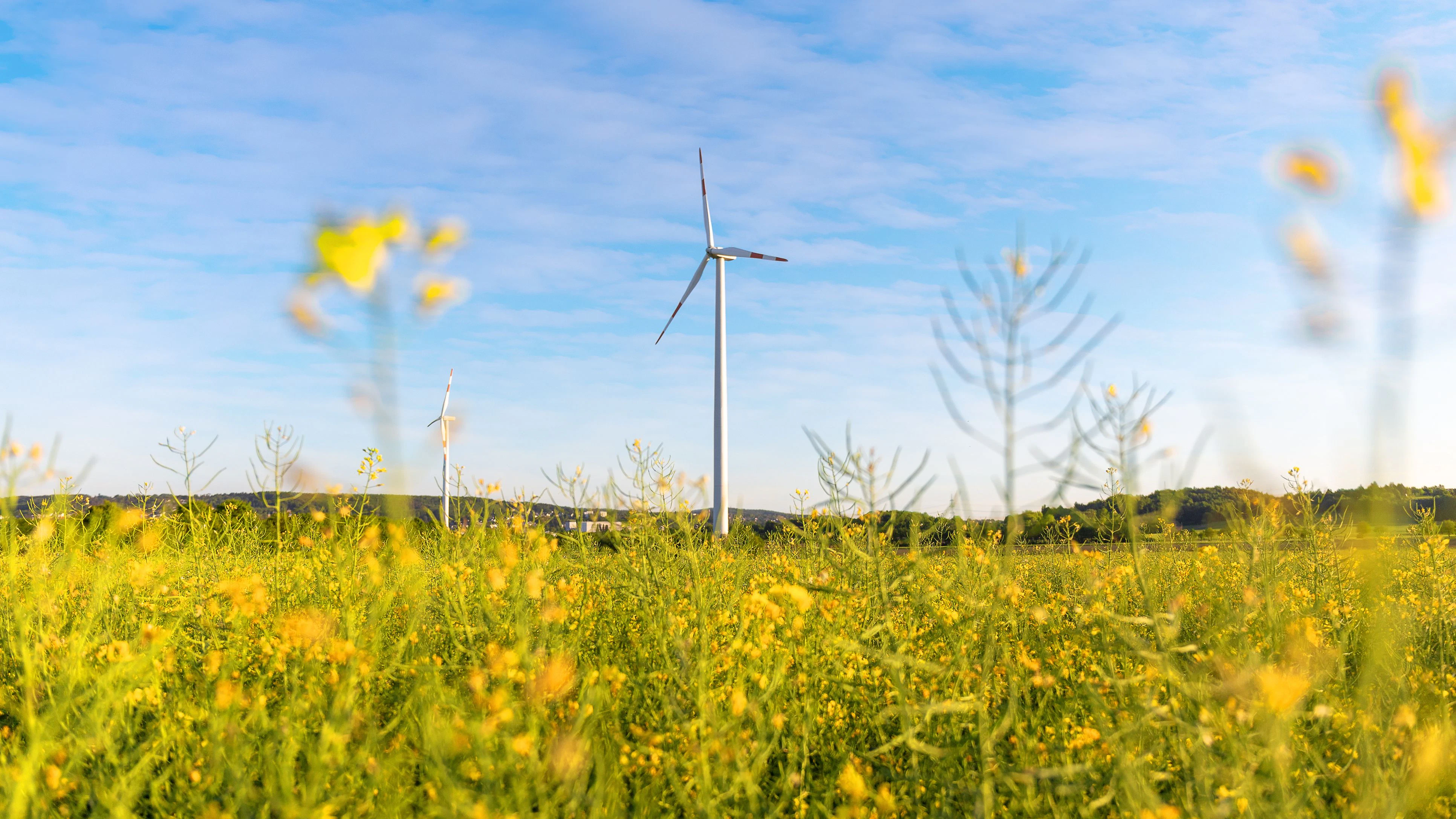 Heute.at - Schaden für OÖ – in elf Jahren nur ein Windrad gebaut