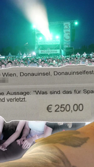 Donauinselfest: Wiener erhält 250 Euro Strafe nach abfälliger Bemerkung zu Polizei. Streit um Polizeieinsatz sorgt für Diskussionen.