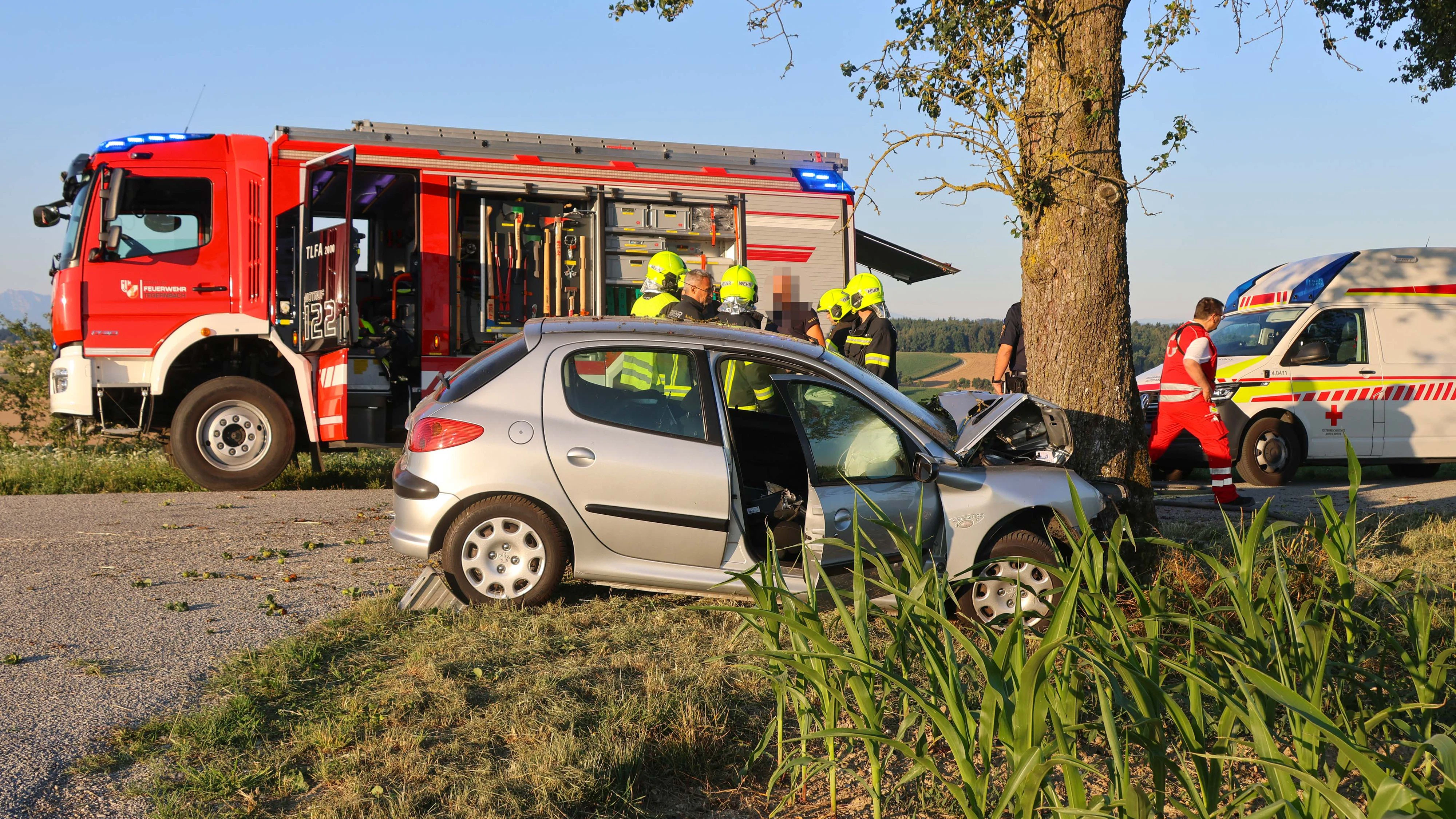 Heute.at - Autofahrer ist bei Crash mit Obstbaum sofort tot