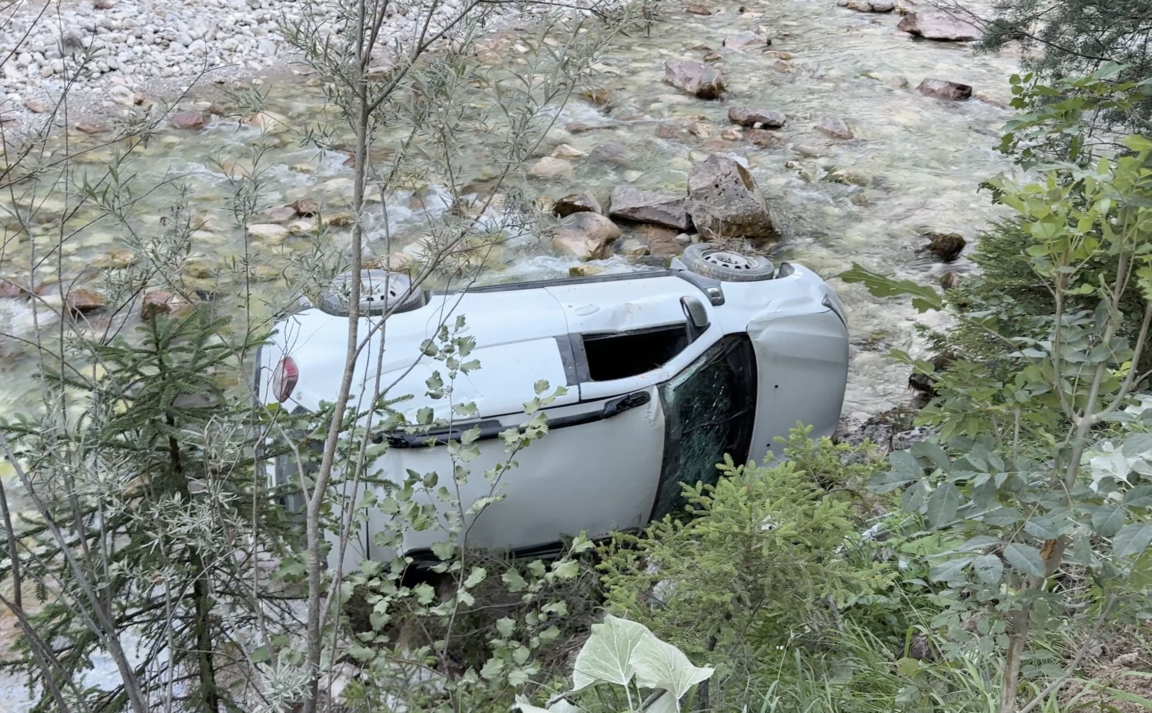 Heute.at - Hirsch läuft vor Auto – Pkw-Lenker stürzt in Bach