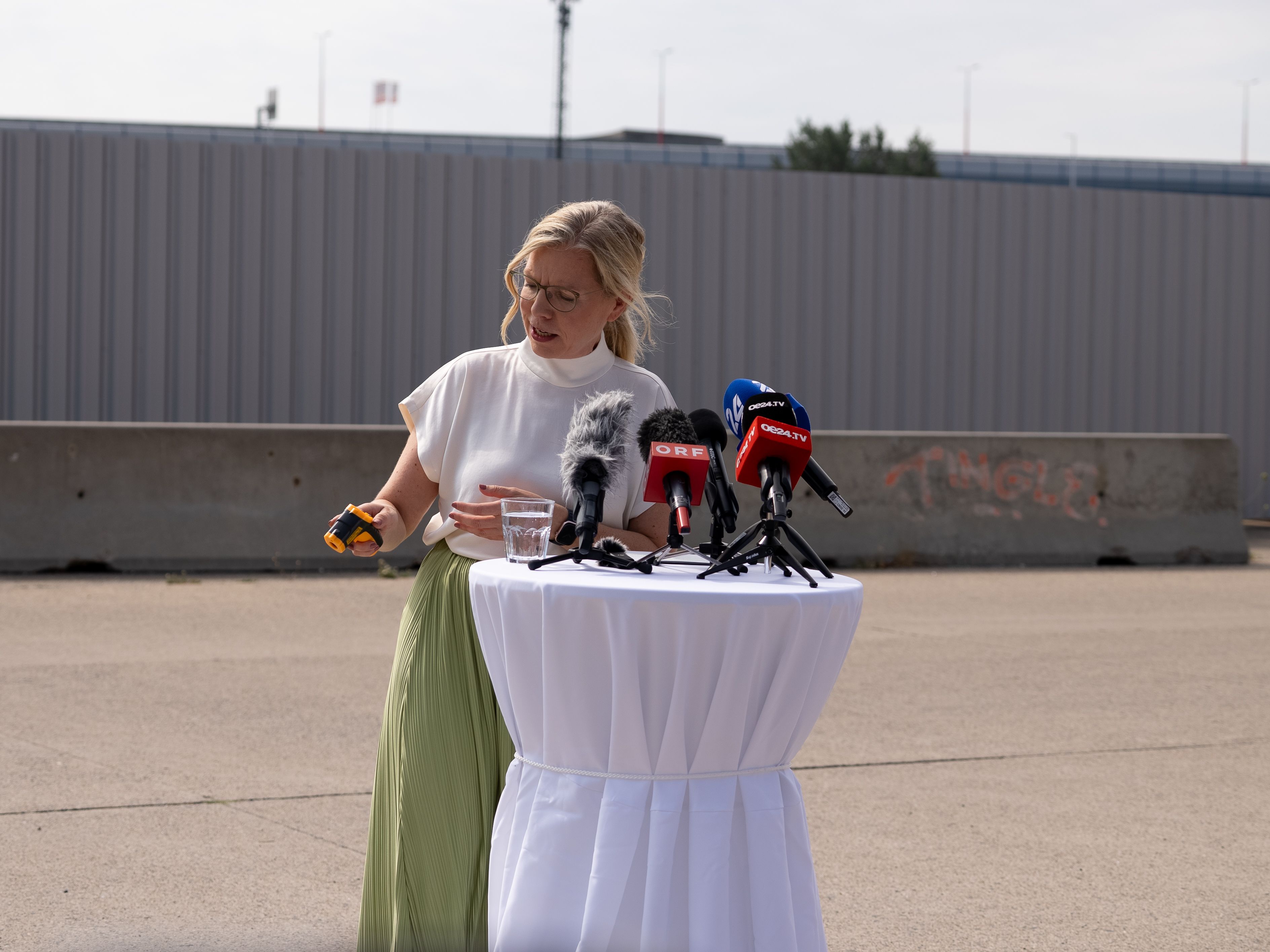 Grünen-Chefin Leonore Gewessler präsentierte am Dienstag den Plan ihrer Partei.