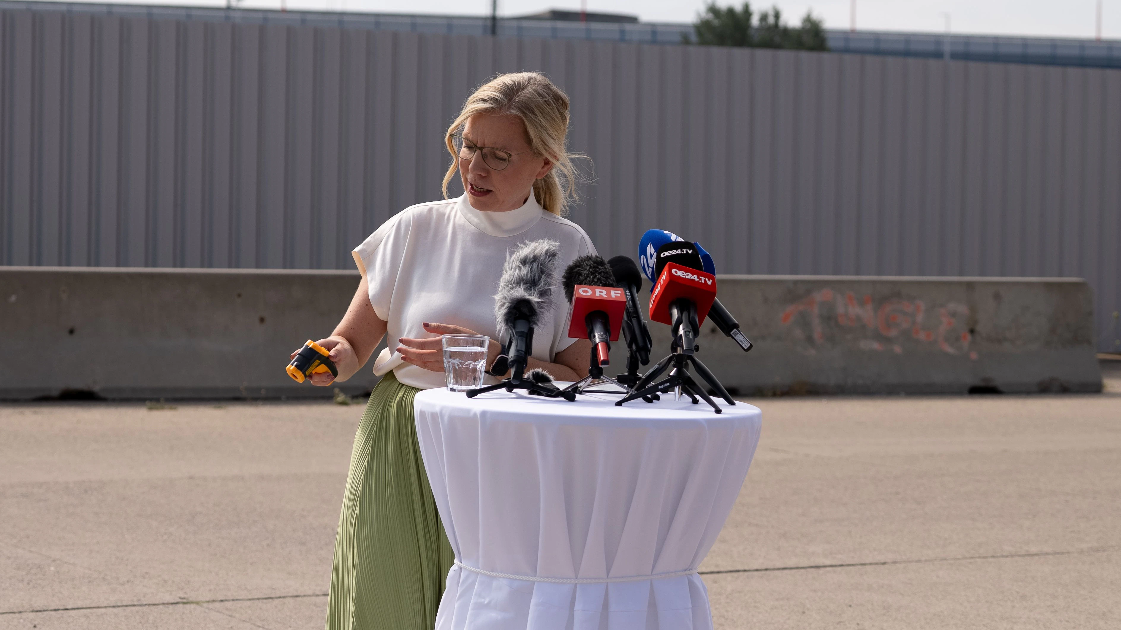 Grünen-Chefin Leonore Gewessler präsentierte am Dienstag den Plan ihrer Partei.
