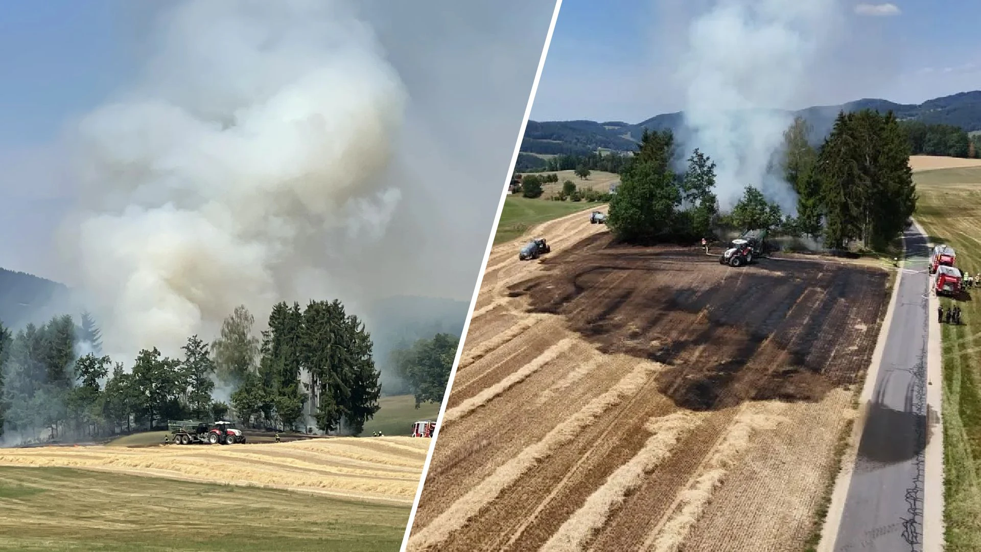 Heute.at - Extreme Dürre – zuerst brennt Feld, dann Wald
