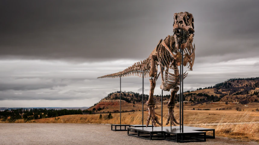 T-Rex Gus