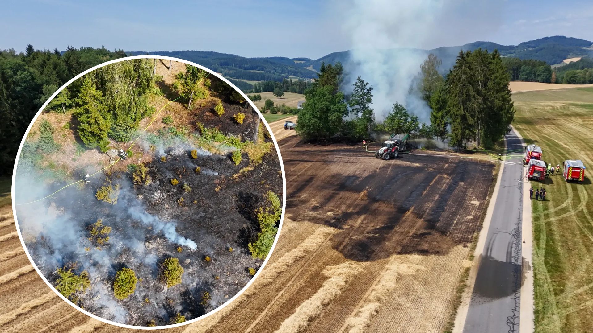 Der Feldbrand in Neumarkt im Mühlkreis griff am Dienstag auf das Waldstück über.