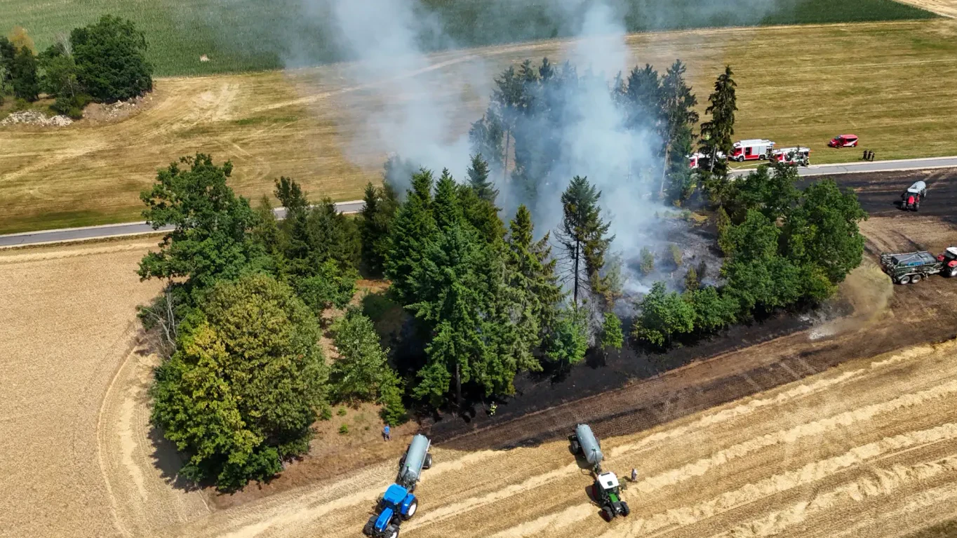 Ein Zigarettenstummel dürfte den Brand ausgelöst haben. 
