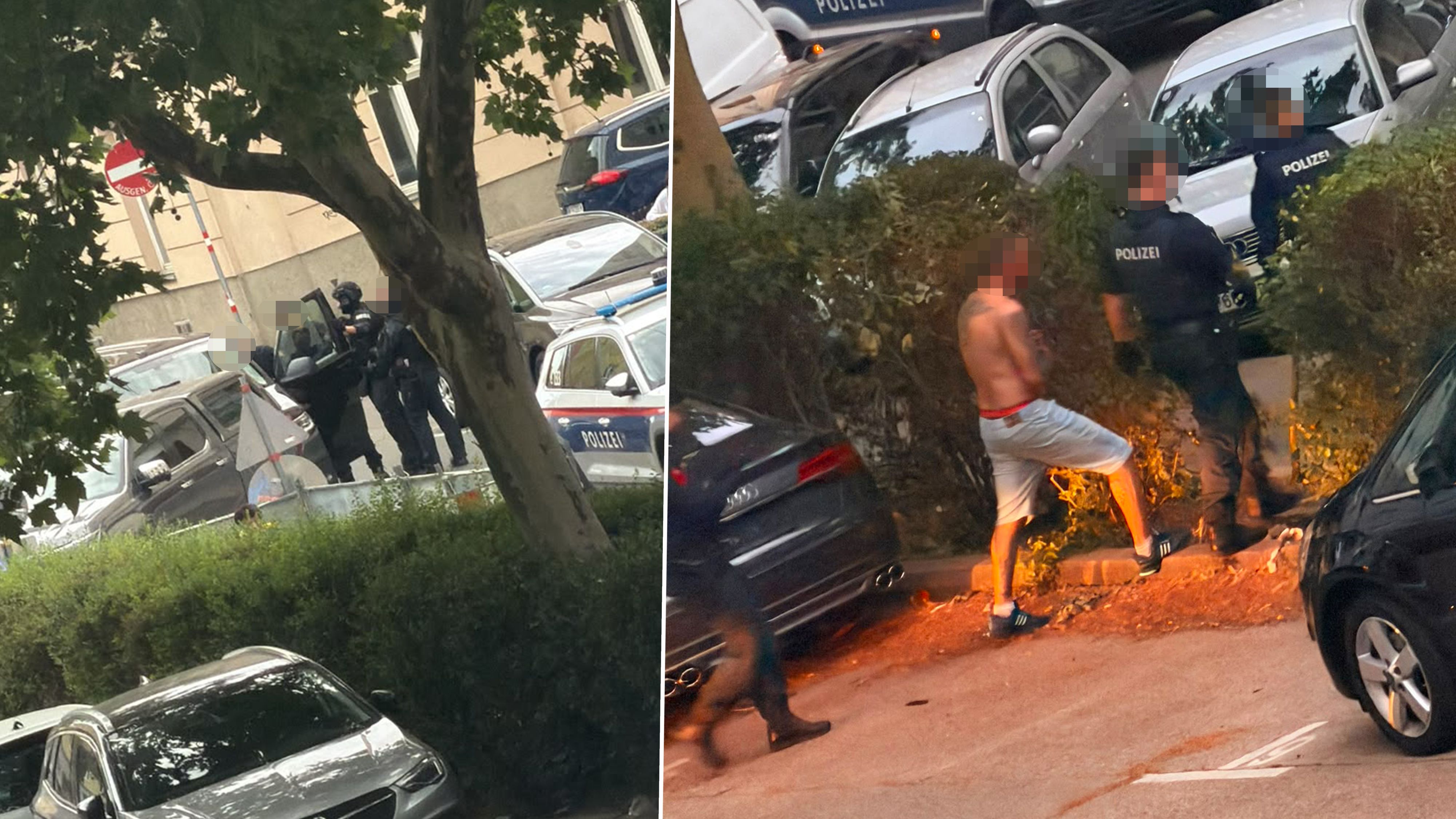 Kurz nach dem Eintreffen der Polizei sowie WEGA wurde der Rowdy von der Polizei festgenommen.