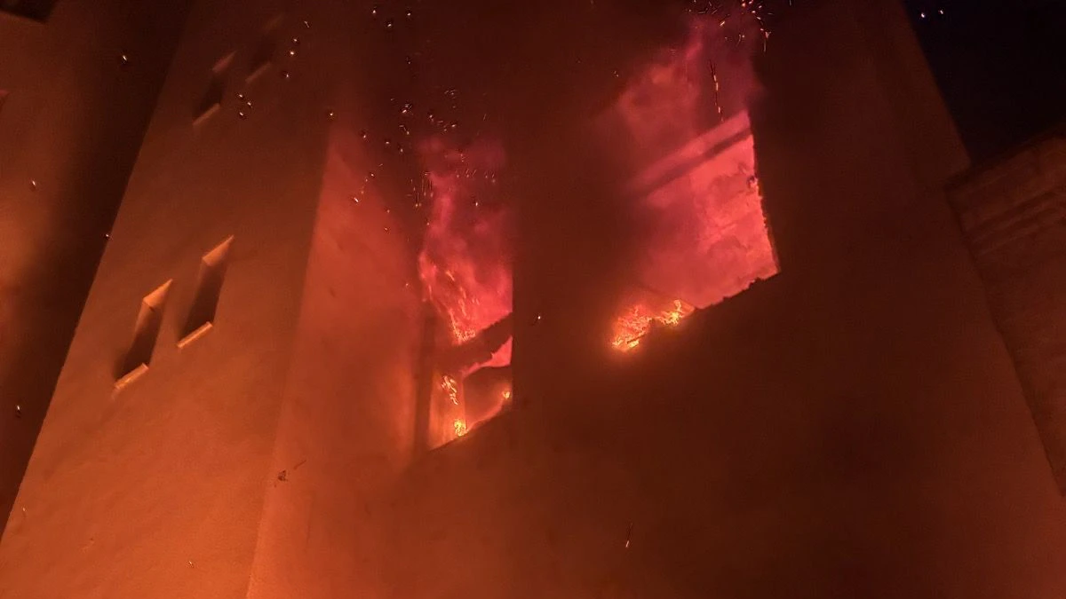 Der Brand wütete in der Wohnung, Angela F. und Hund "Lucky" konnten zum Glück gerettet werden.