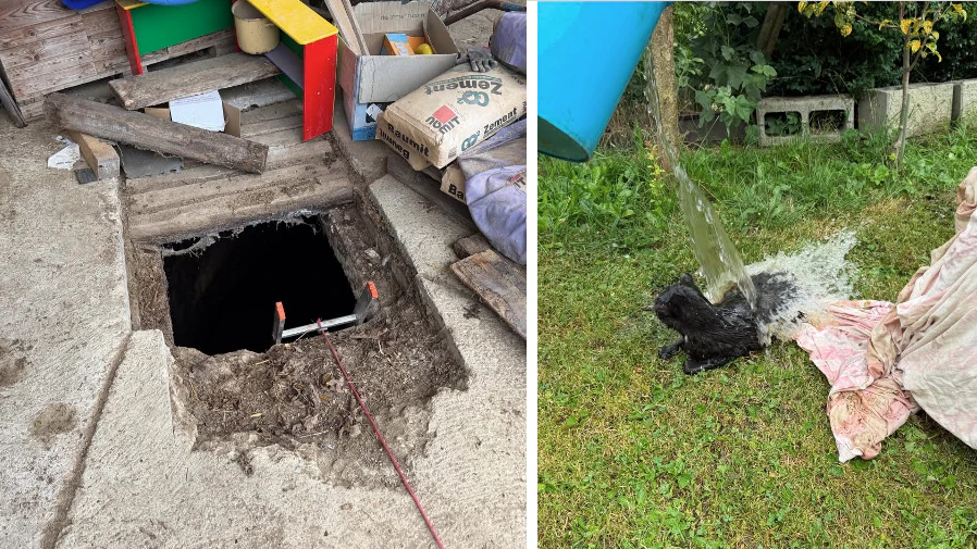 Eine Katze fiel in eine Sickergrube und musste von der Feuerwehr gerettet werden.