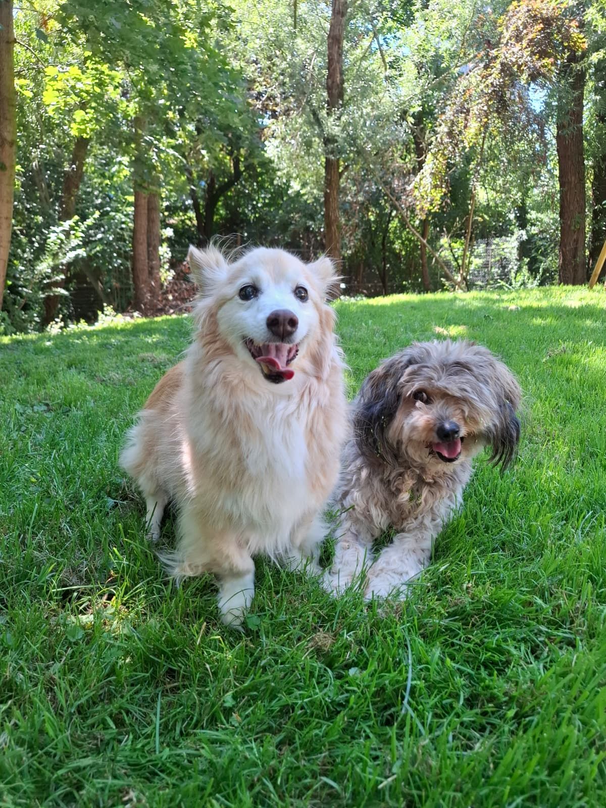 Bonny und Casey suchen nach einem neuen Heim für den Sommer.
