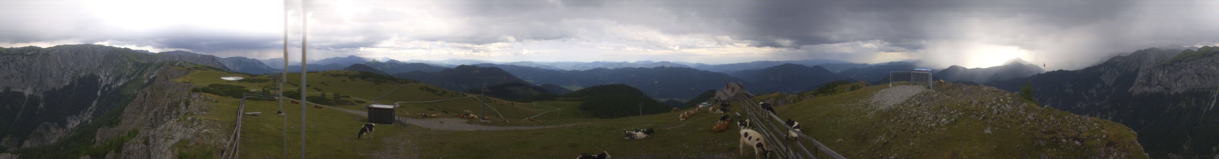 Das Trio versuchte sich am Bürgeralm-Panoramaklettersteig auf der Aflenzer Bürgeralm.