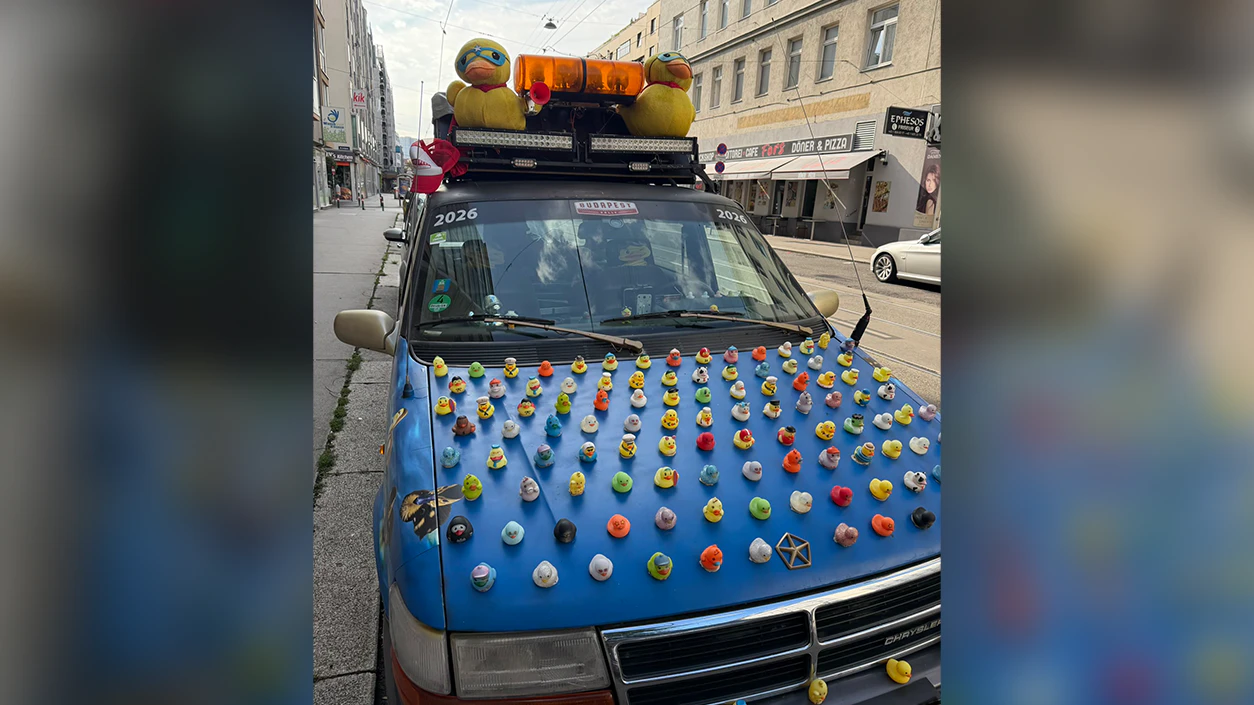 Heute.at - Auto voller Quietschentchen sorgt in Wien für Lacher