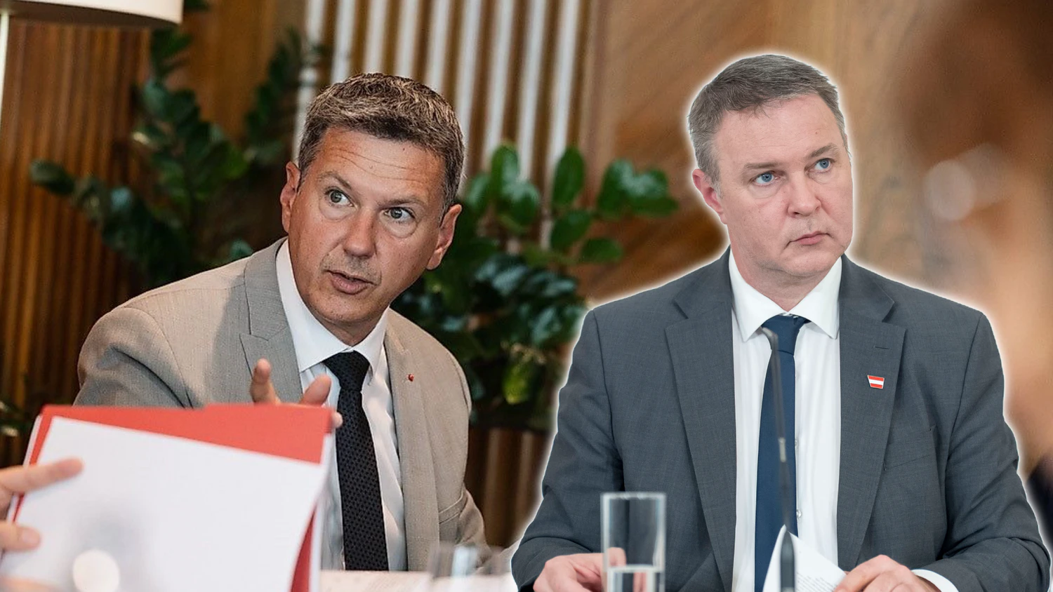 Die Partei von SPÖ-Chef Babler hat ein Problem, so LH Daniel Fellner. 