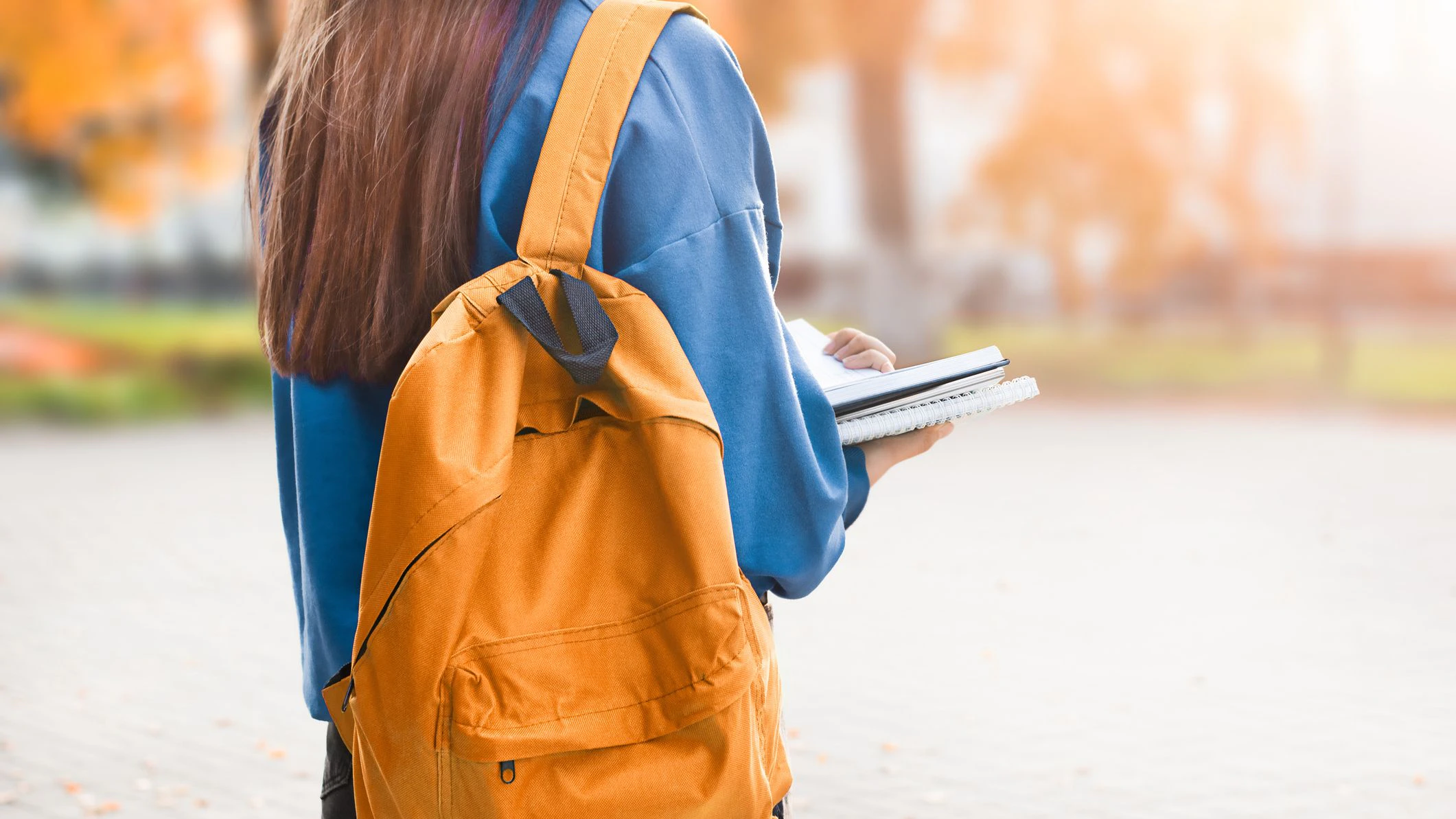 Heute.at - Gleich zwei Studentenheime in Wiener Neustadt insolvent