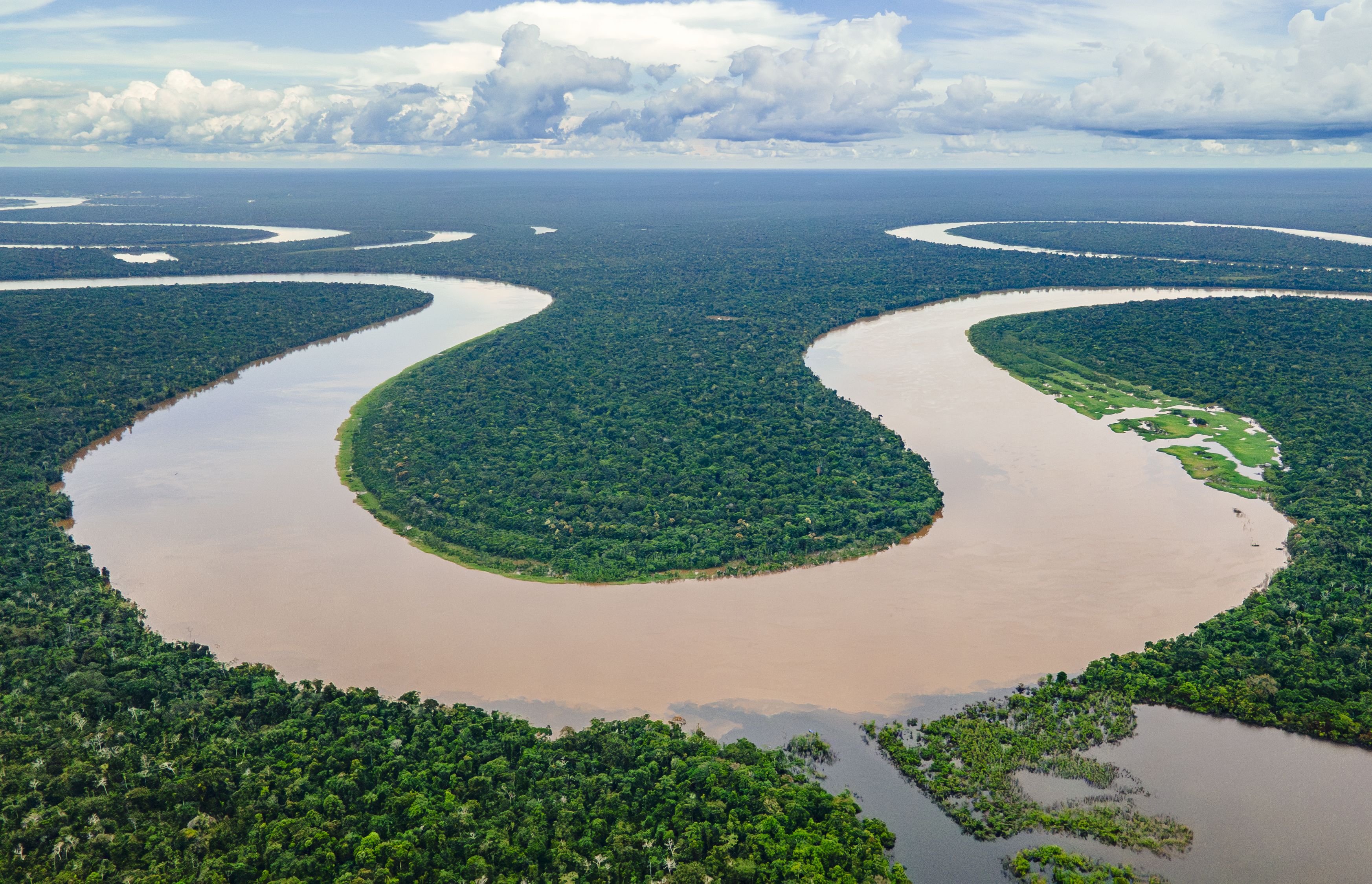 Amazonas Regenwald
