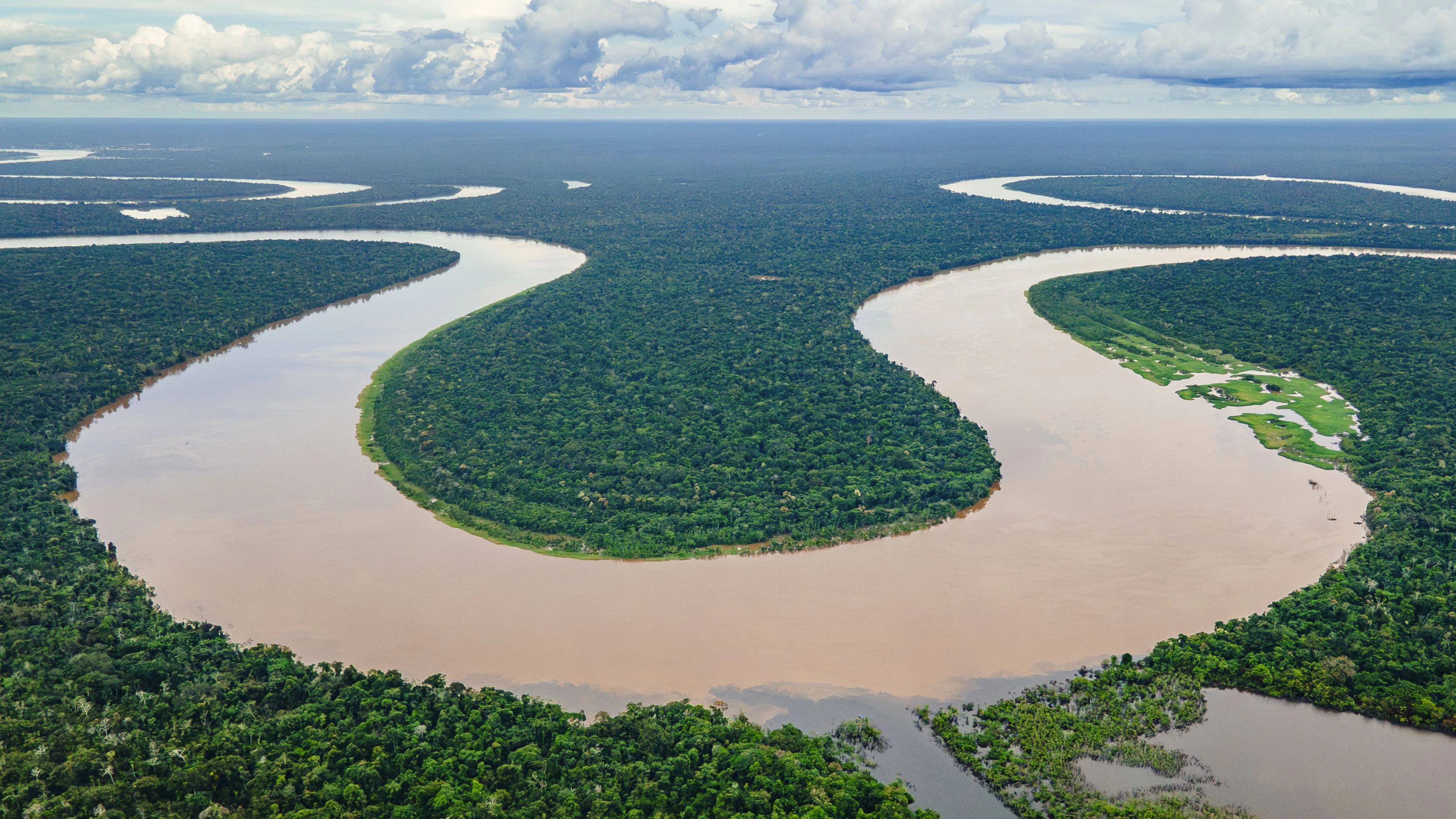 Amazonas Regenwald
