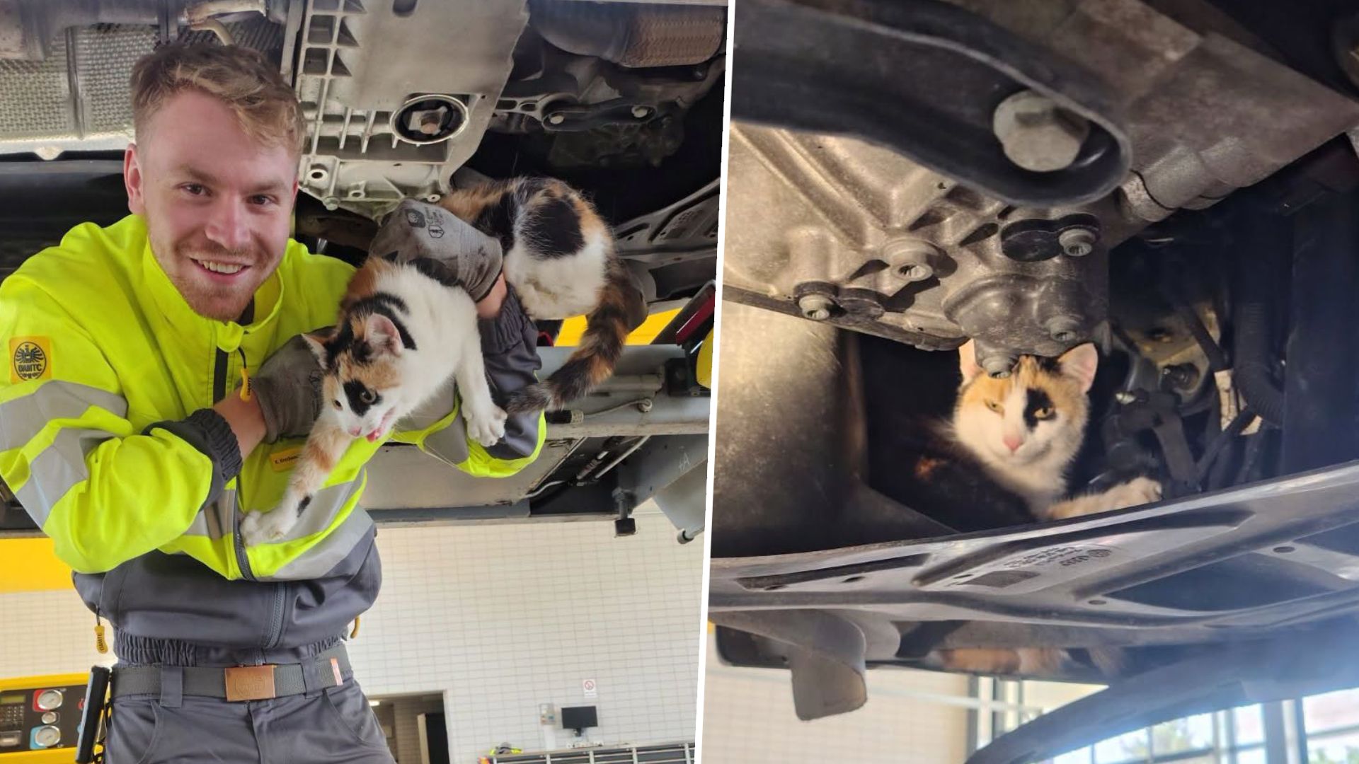 ÖAMTC-Mitarbeiter Klaus befreite die Katze aus dem Motorraum.